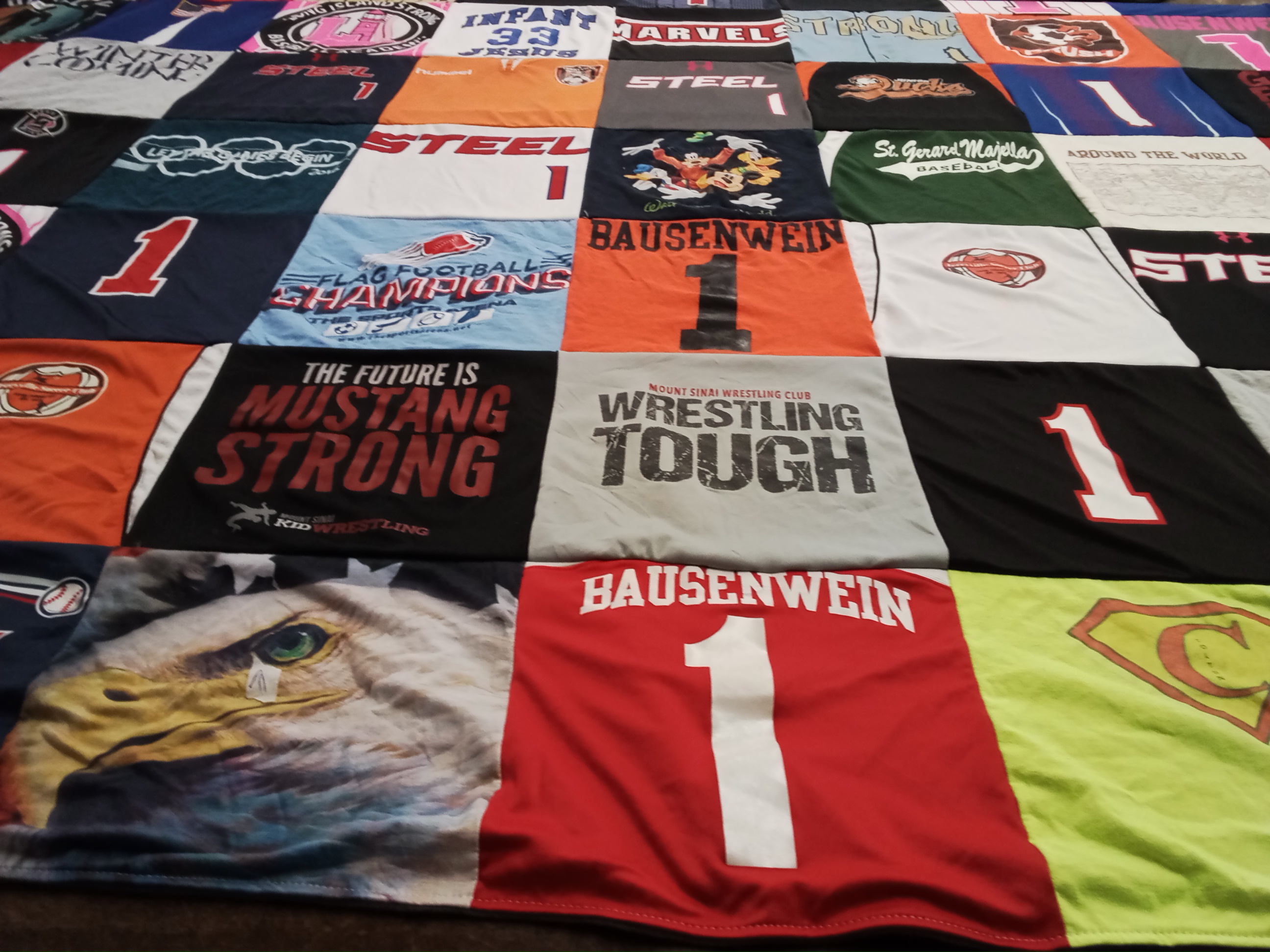 T-shirt quilt with wrestling, sports themes by Christina from NY