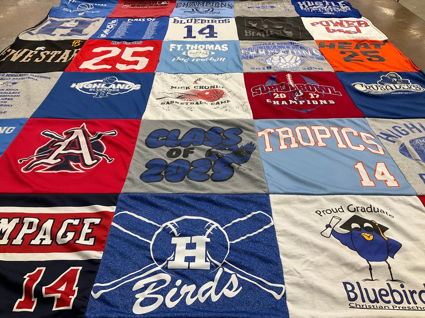 T-shirt quilt featuring highlands bluebirds, rampage by Kristi from KY