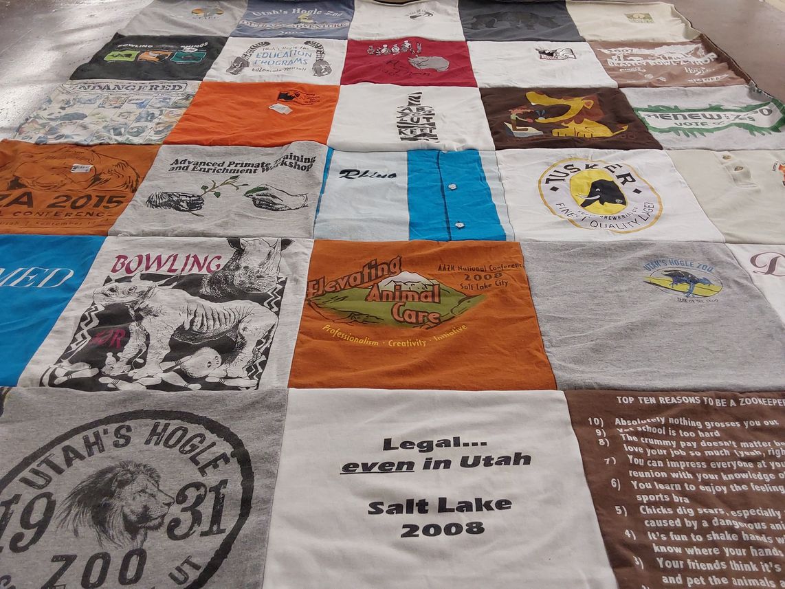T-shirt quilt with zoology, animal care themes by Dawn from UT