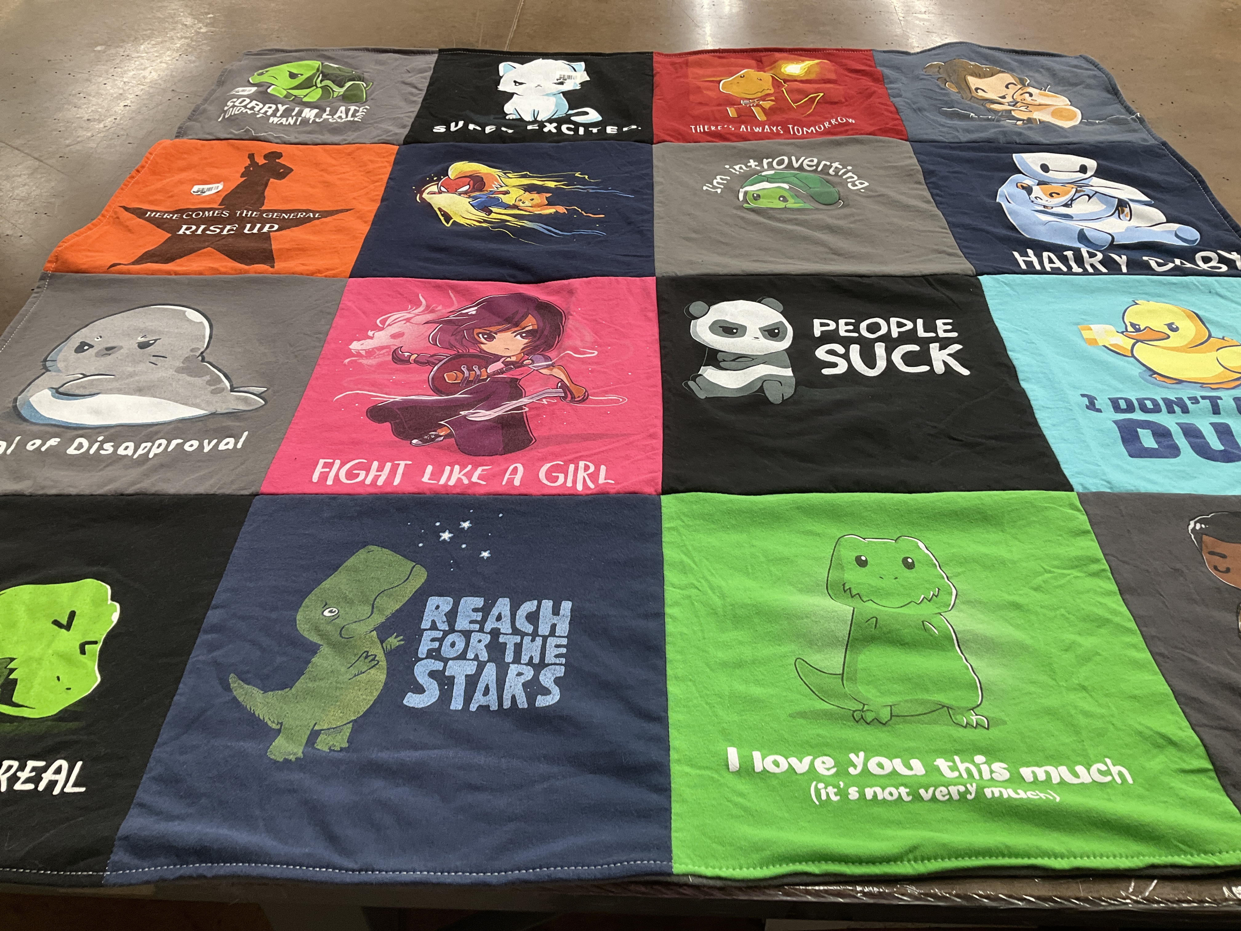 T-shirt quilt with humor, animation themes by Donna from IL