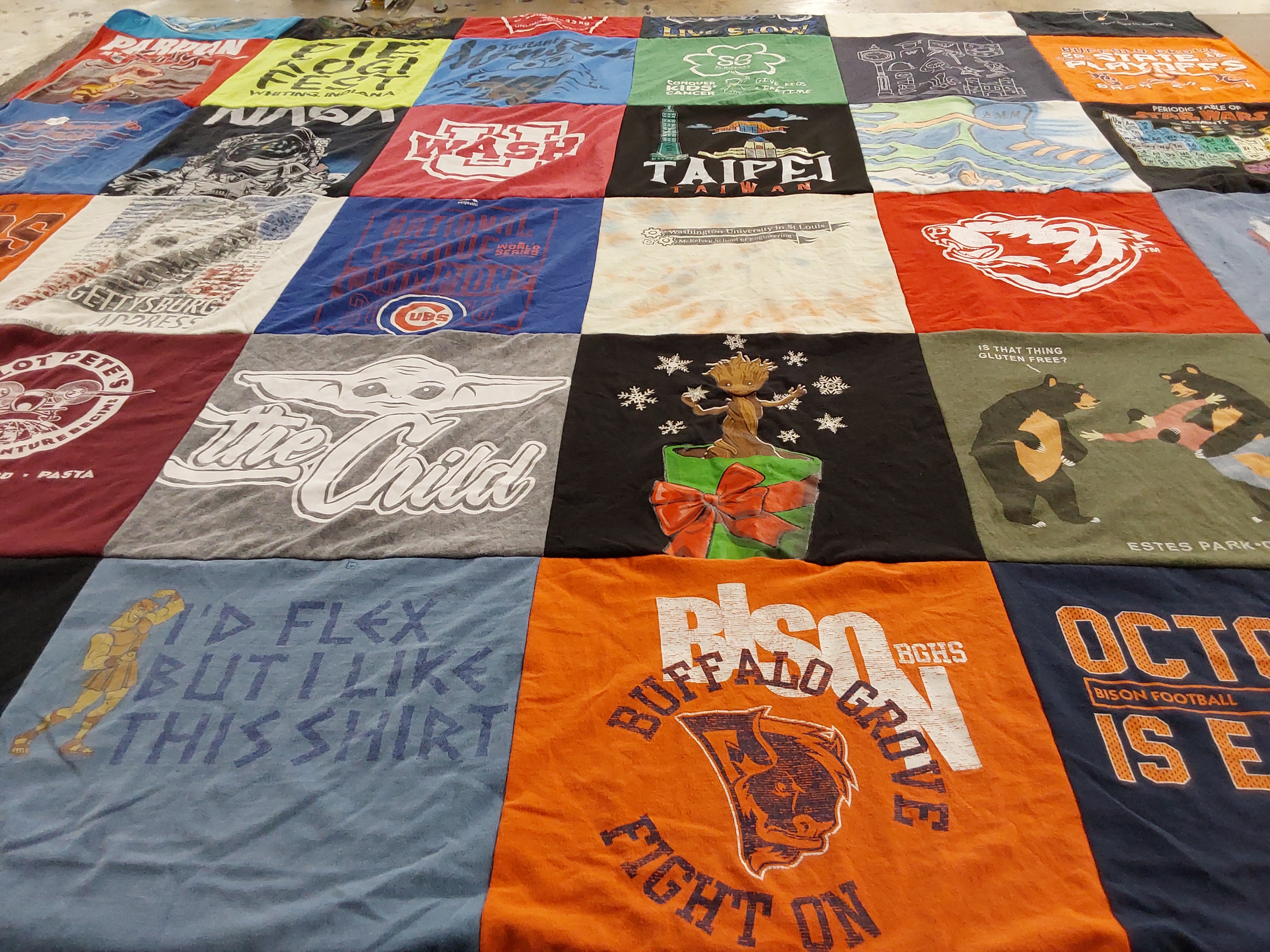 T-shirt quilt featuring bison football by Debbie from IL