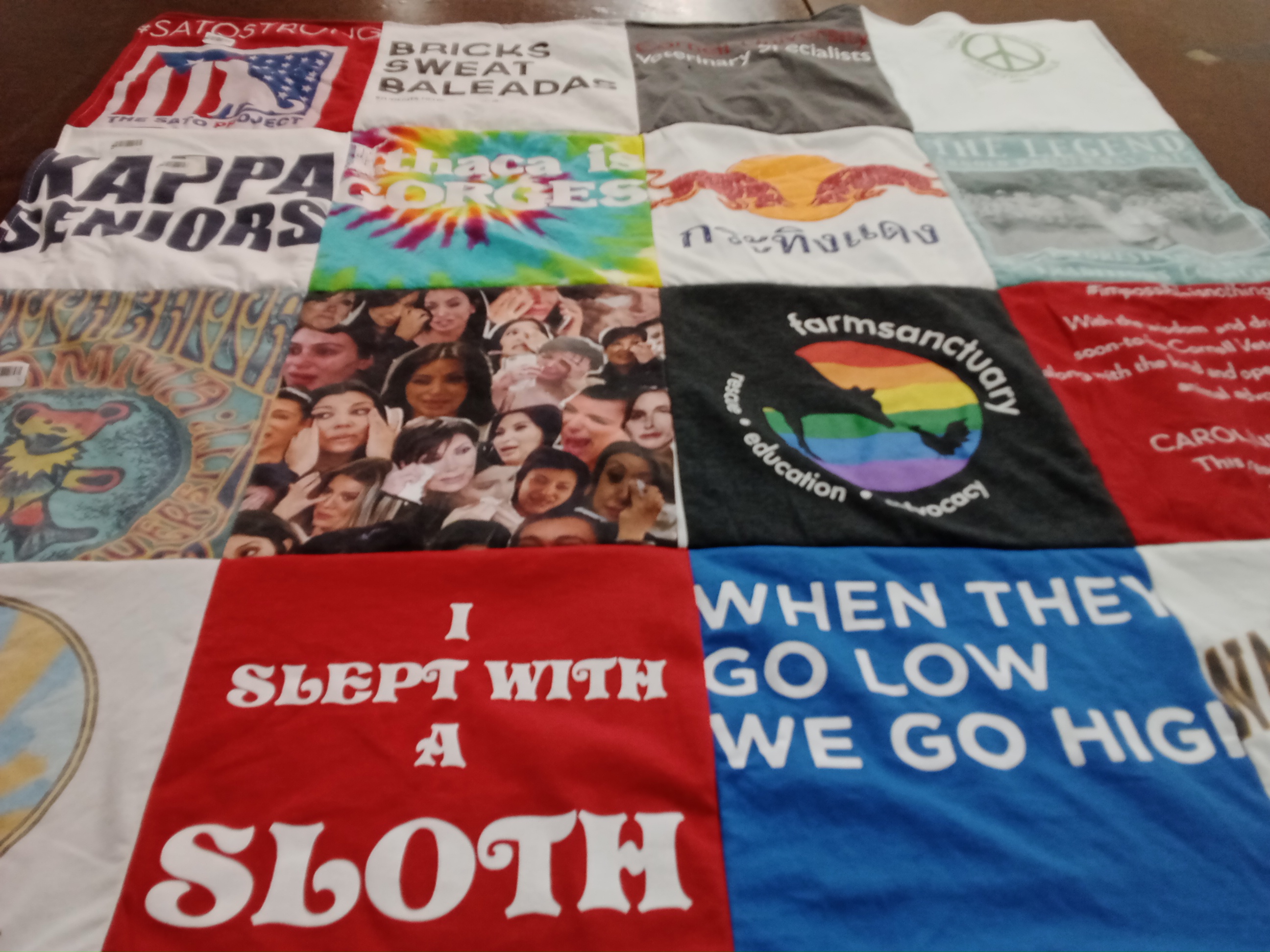 T-shirt quilt with animal rights, sorority life themes by Tracy from CT