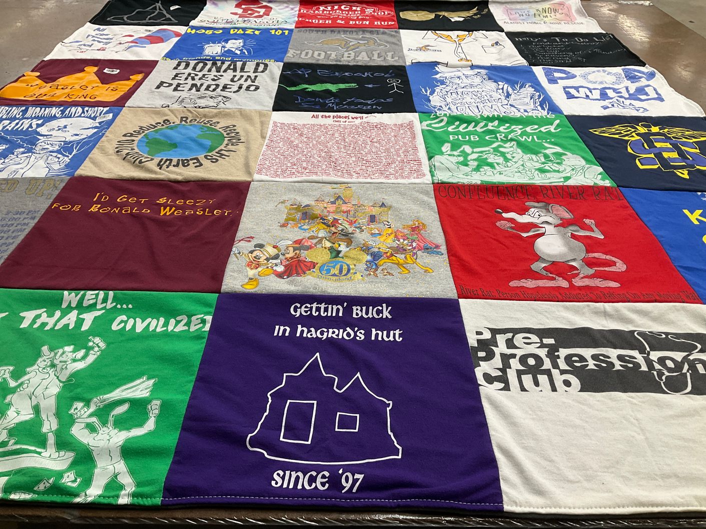 T-shirt quilt with sustainable living, disney themes by Sarah from SD