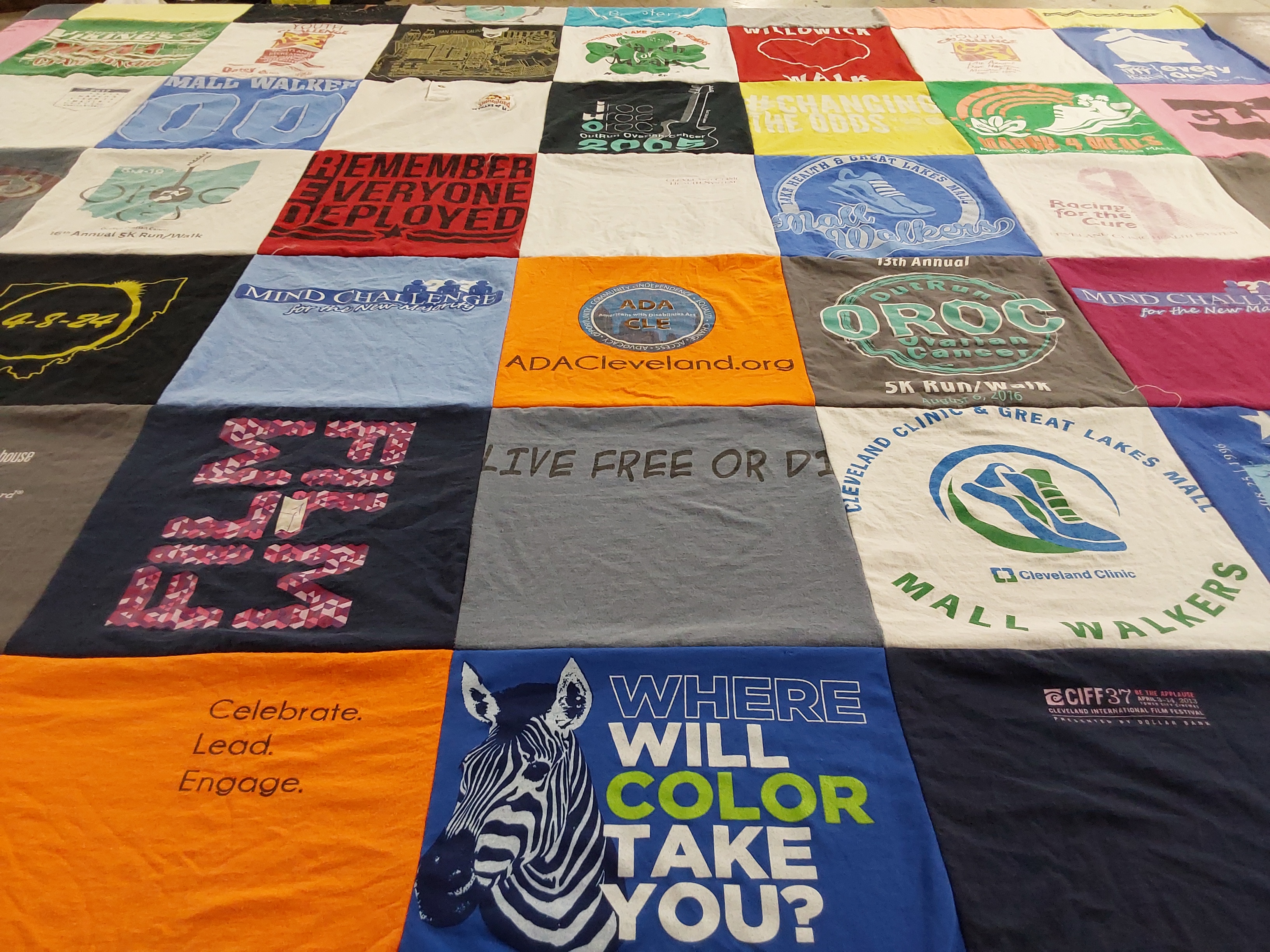 T-shirt quilt with walking, charity themes by Mary-Ellen from OH