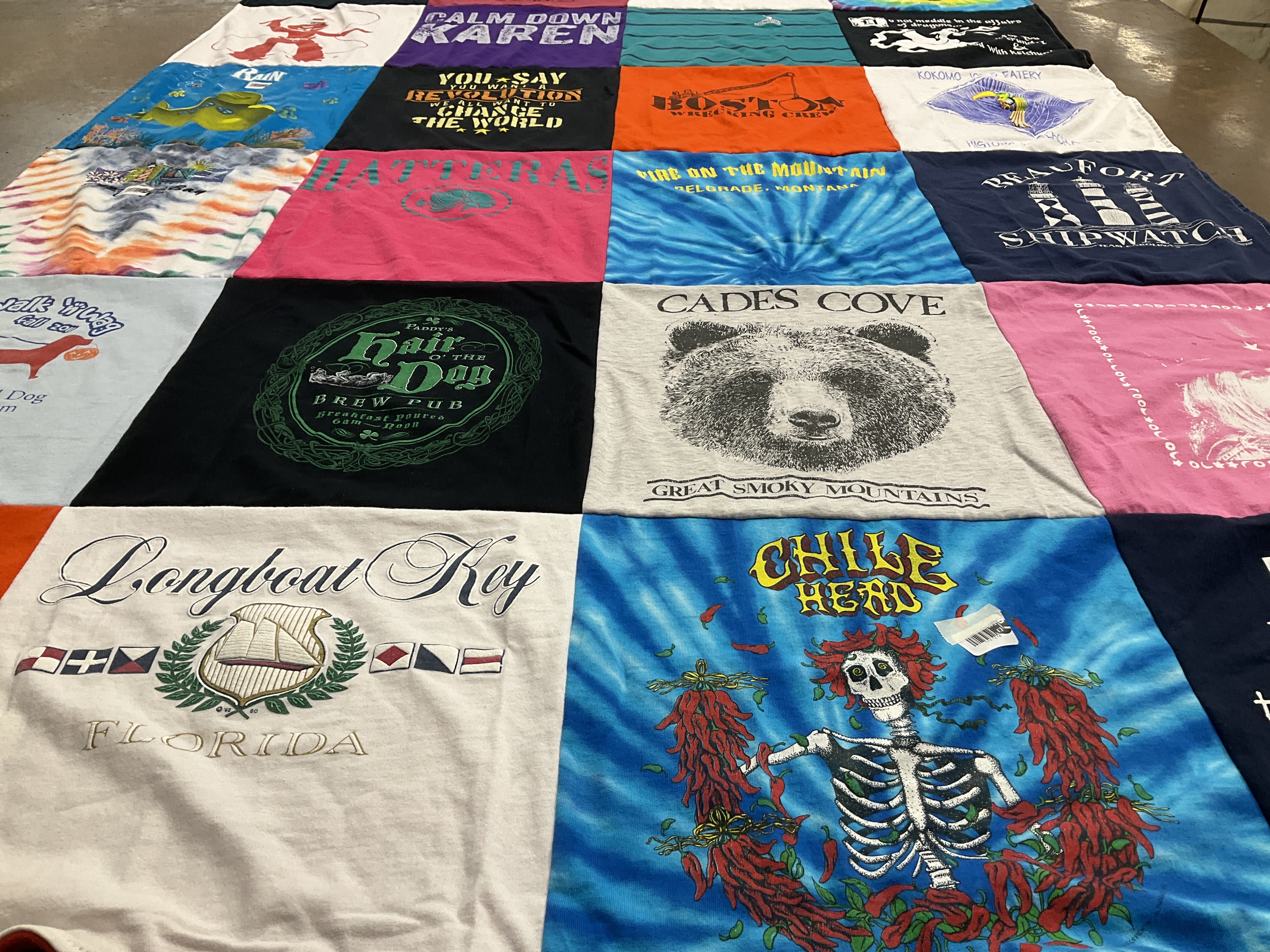 T-shirt quilt with travel, food themes by Sharon from NC