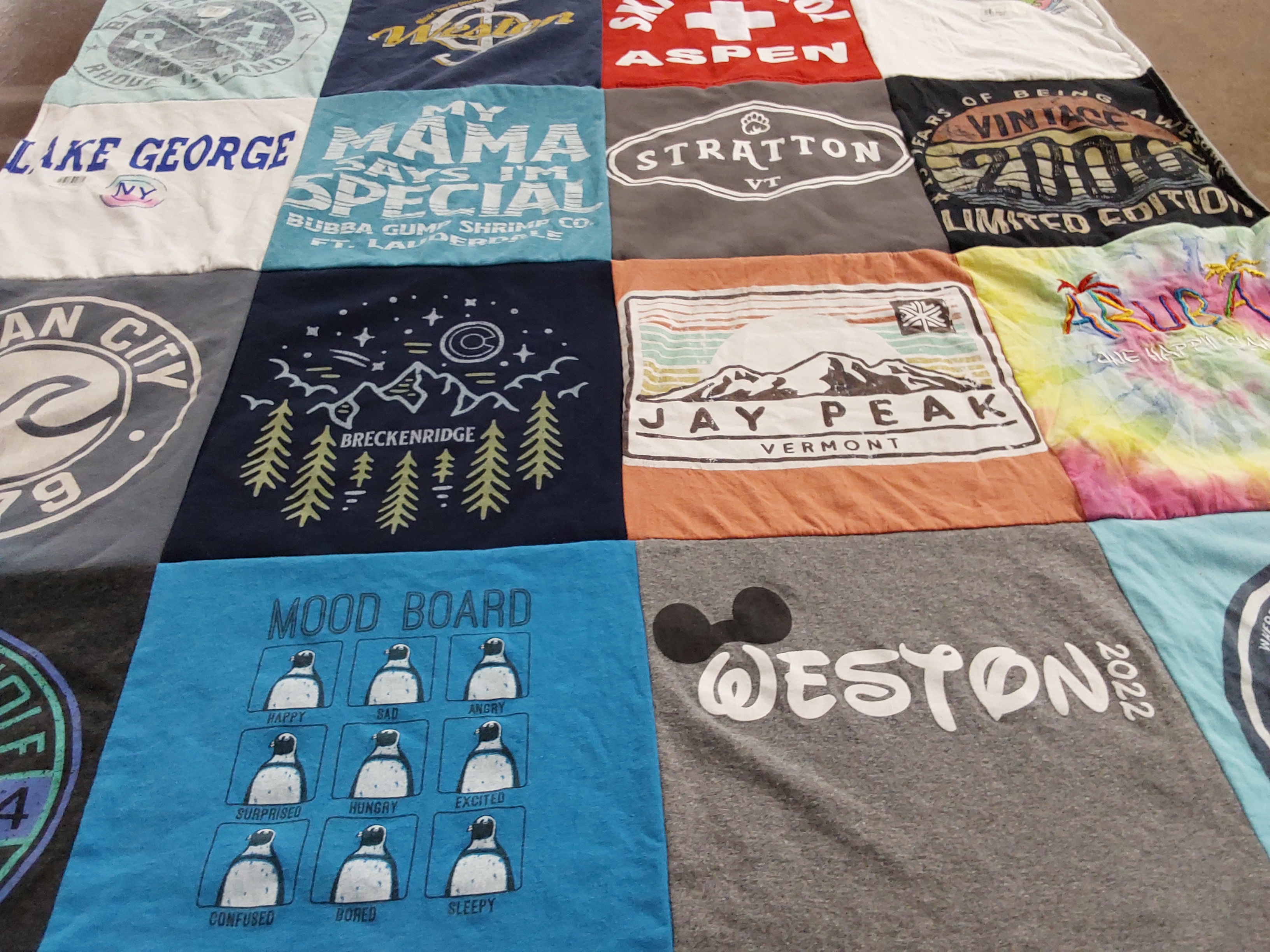 T-shirt quilt with skiing, traveling themes by Ashley from CT