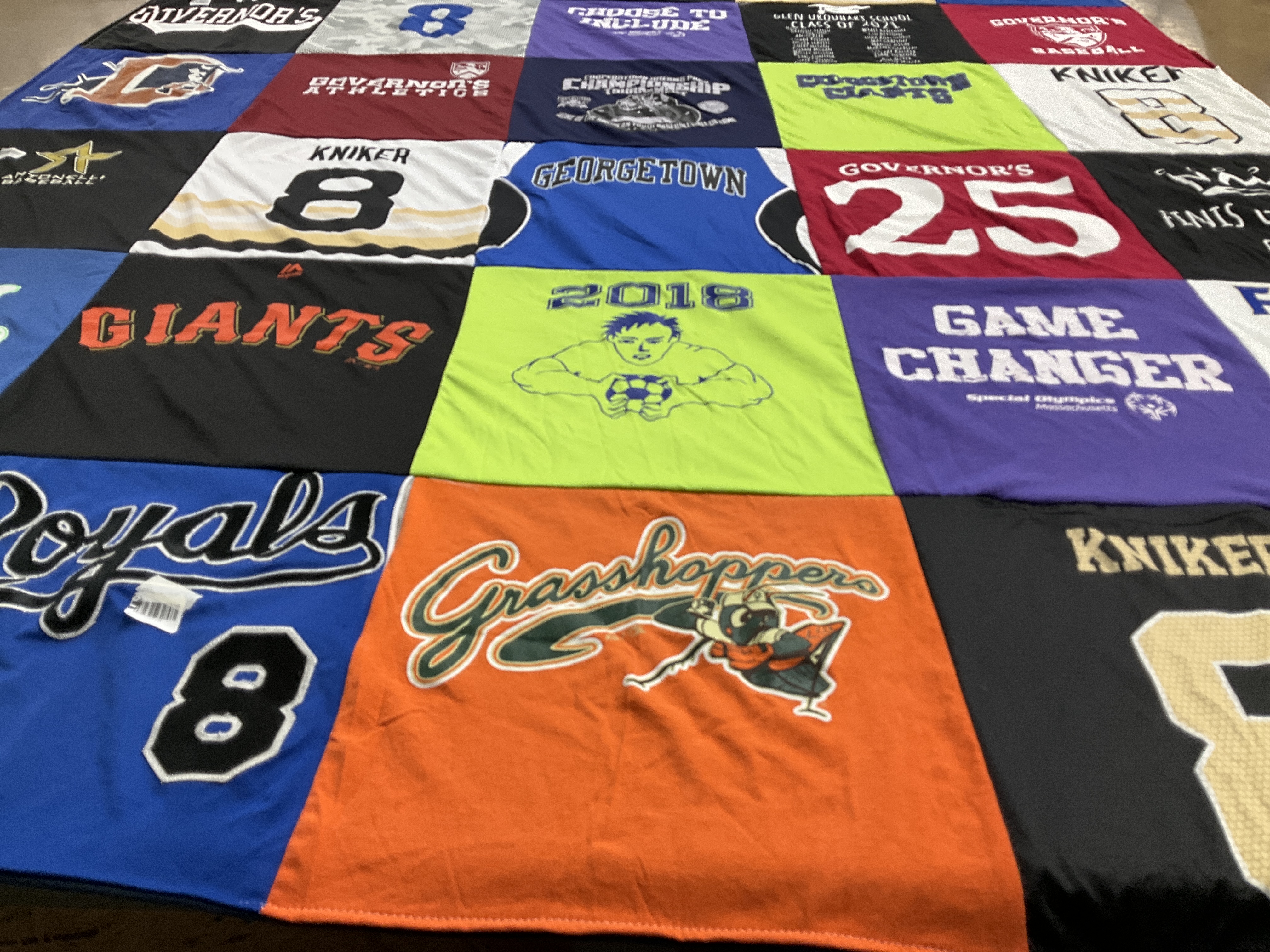 T-shirt quilt featuring grasshoppers by Kara from MA
