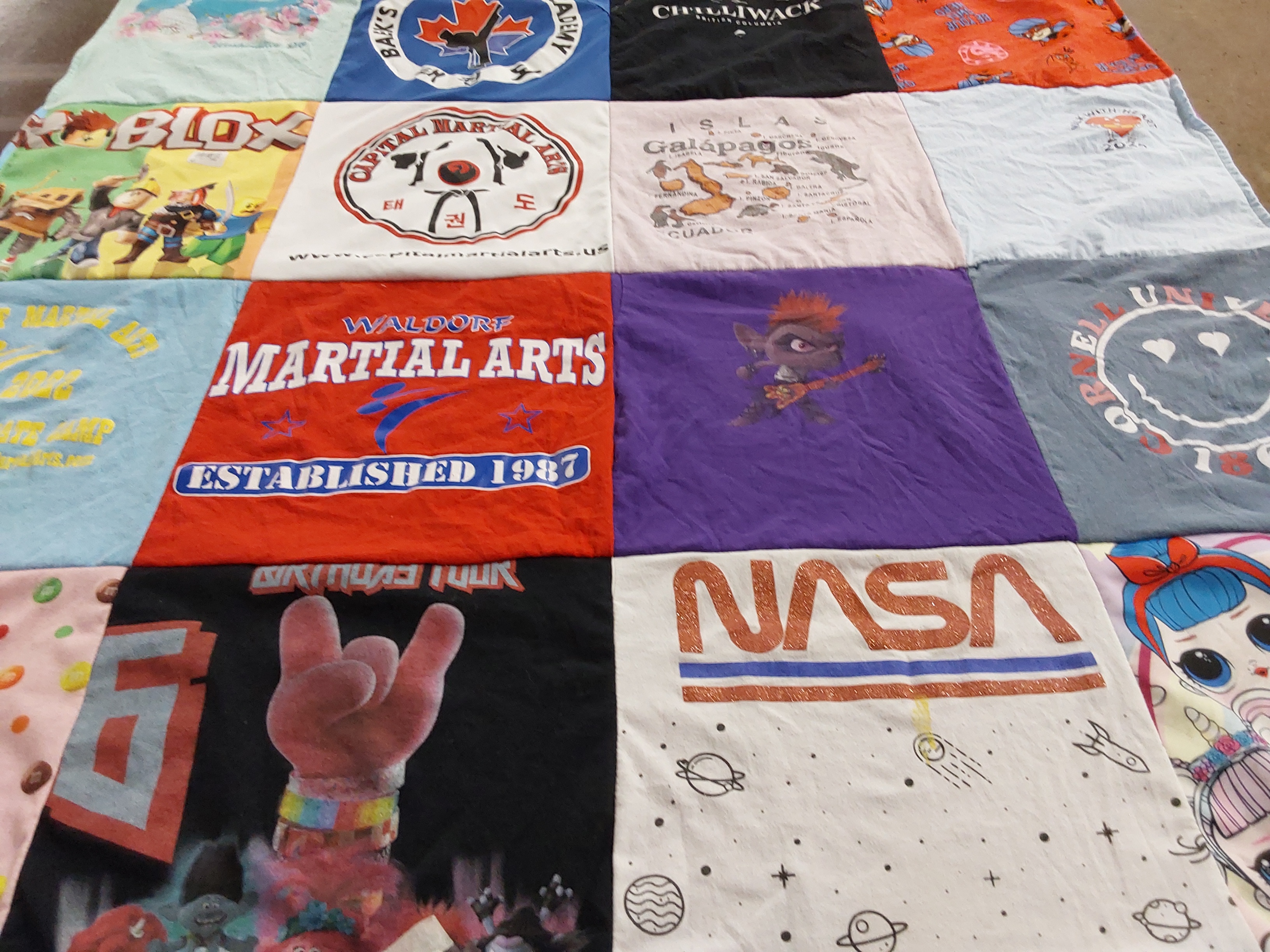 T-shirt quilt from cornell university by Erin from MI