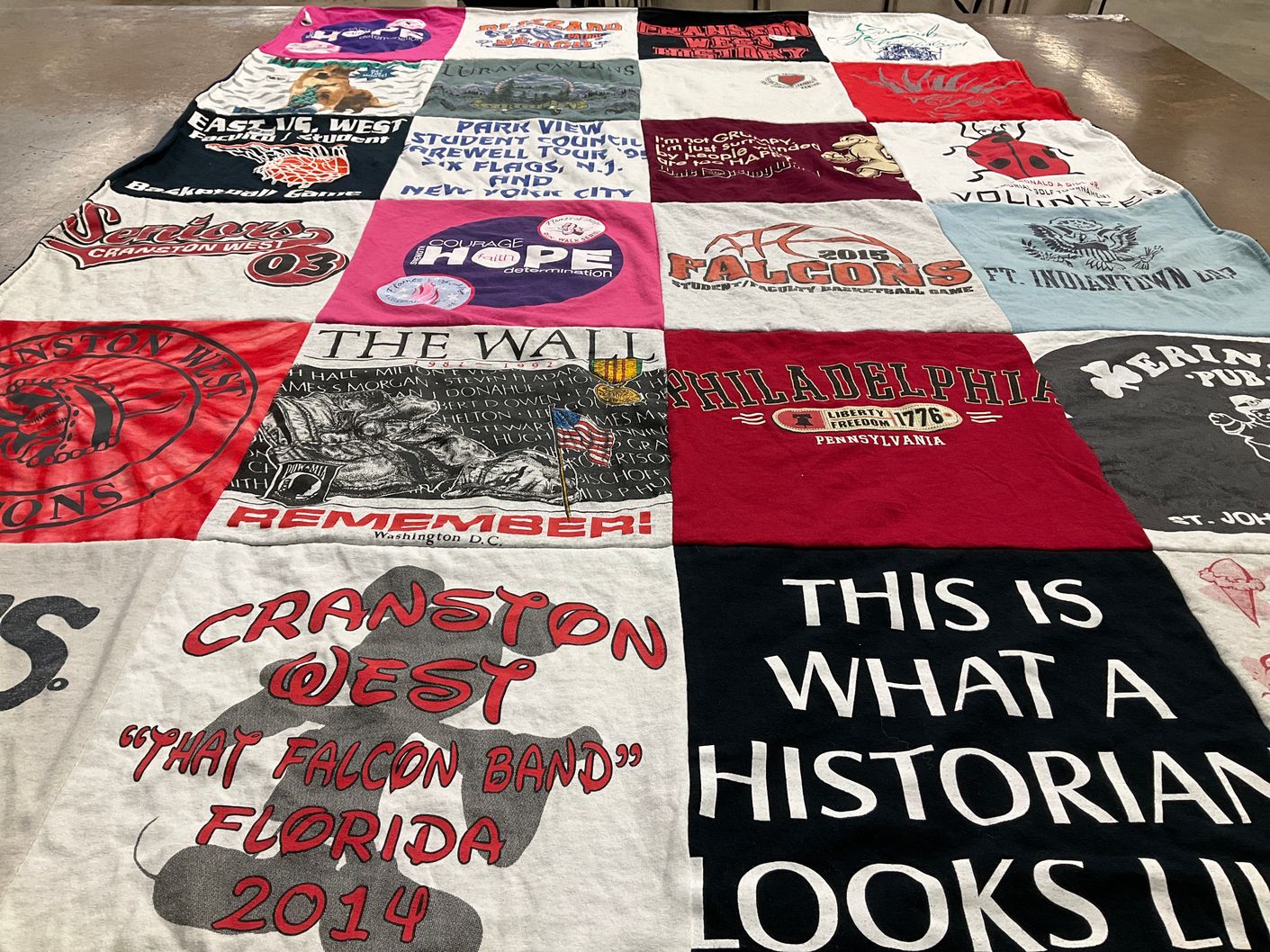 T-shirt quilt featuring falcons by Liz from RI