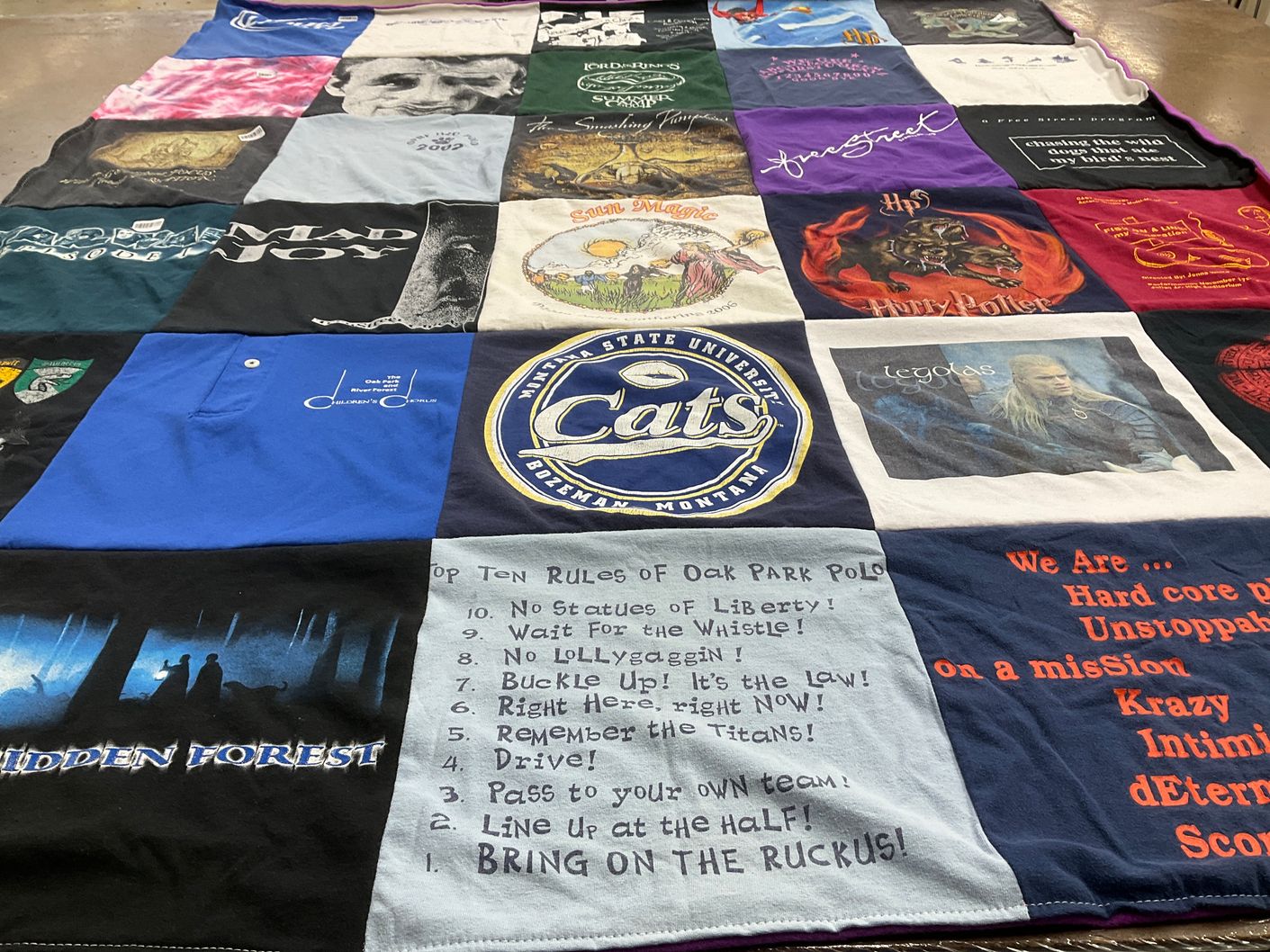 T-shirt quilt featuring oak park polo by Carol from IL