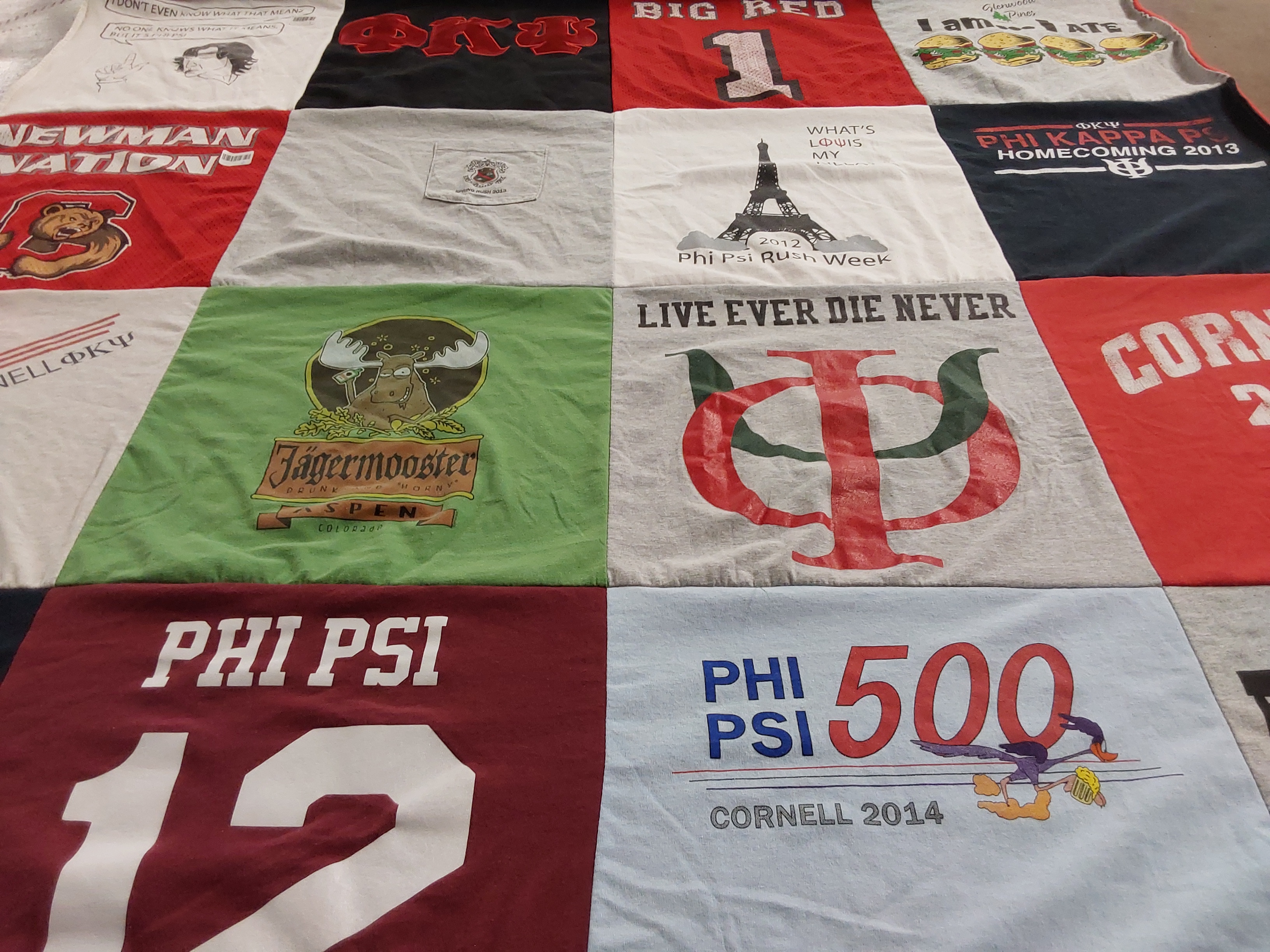 T-shirt quilt featuring big red by Daniel from NY