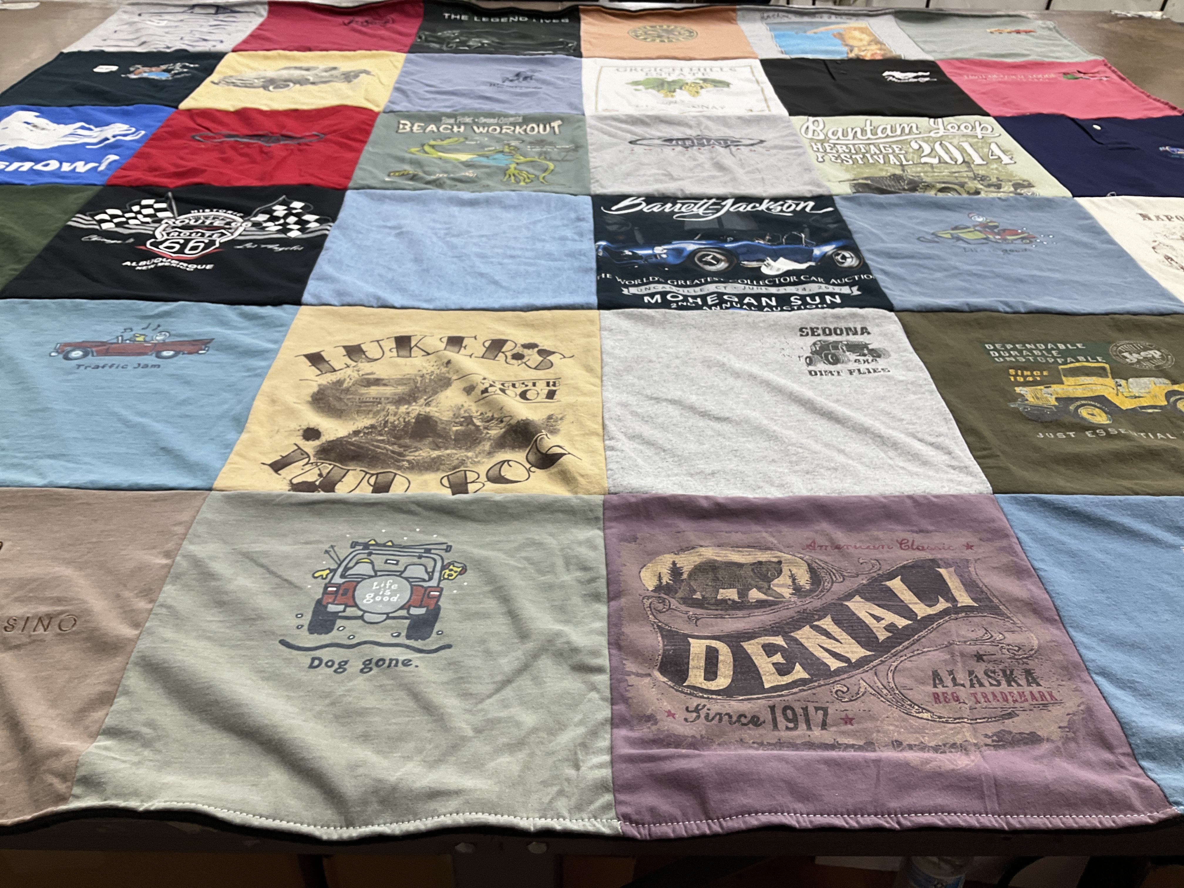 T-shirt quilt with outdoor, sports themes by Donna from NY