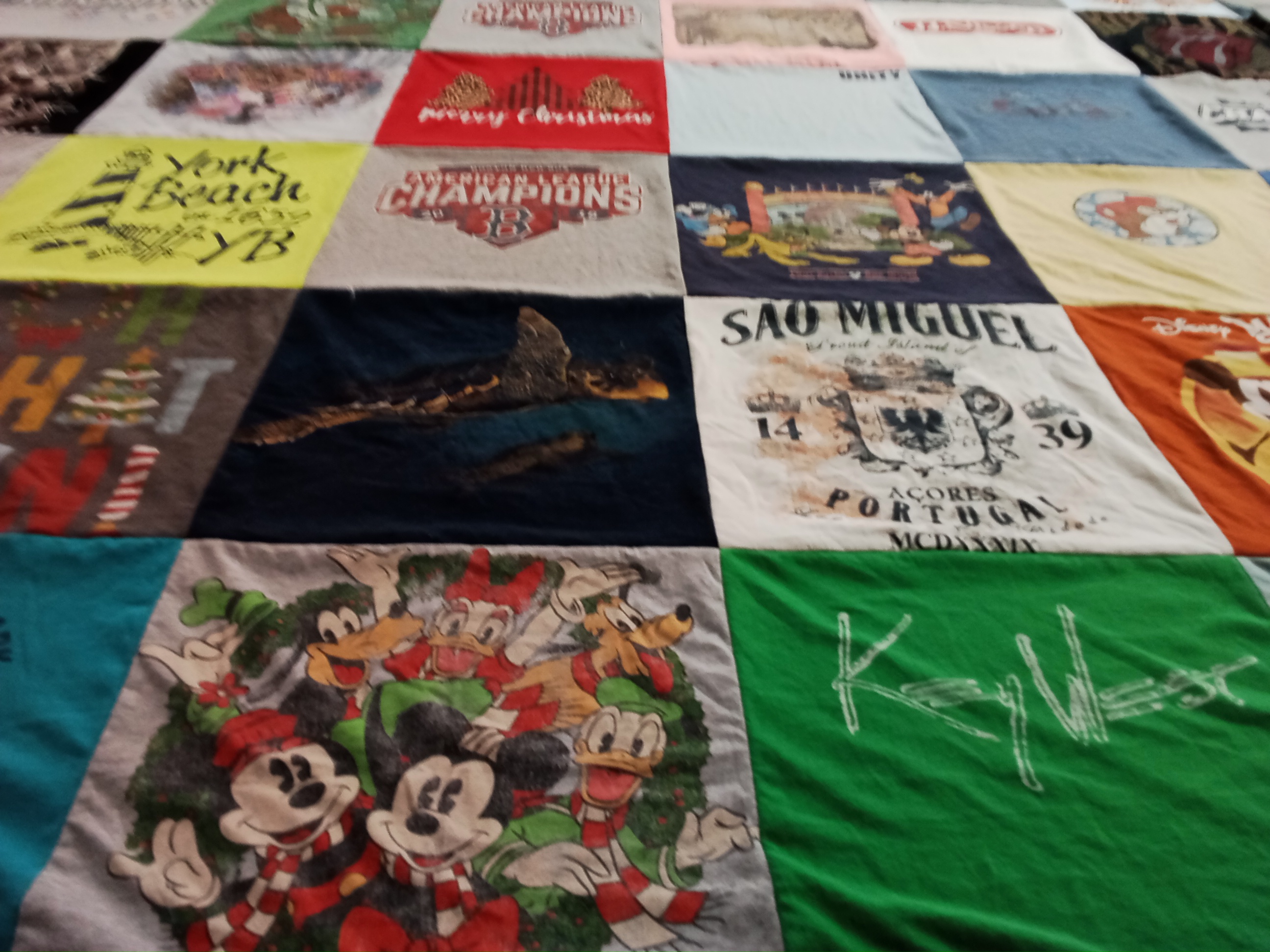 T-shirt quilt with disney, vacation themes by Shannon from FL