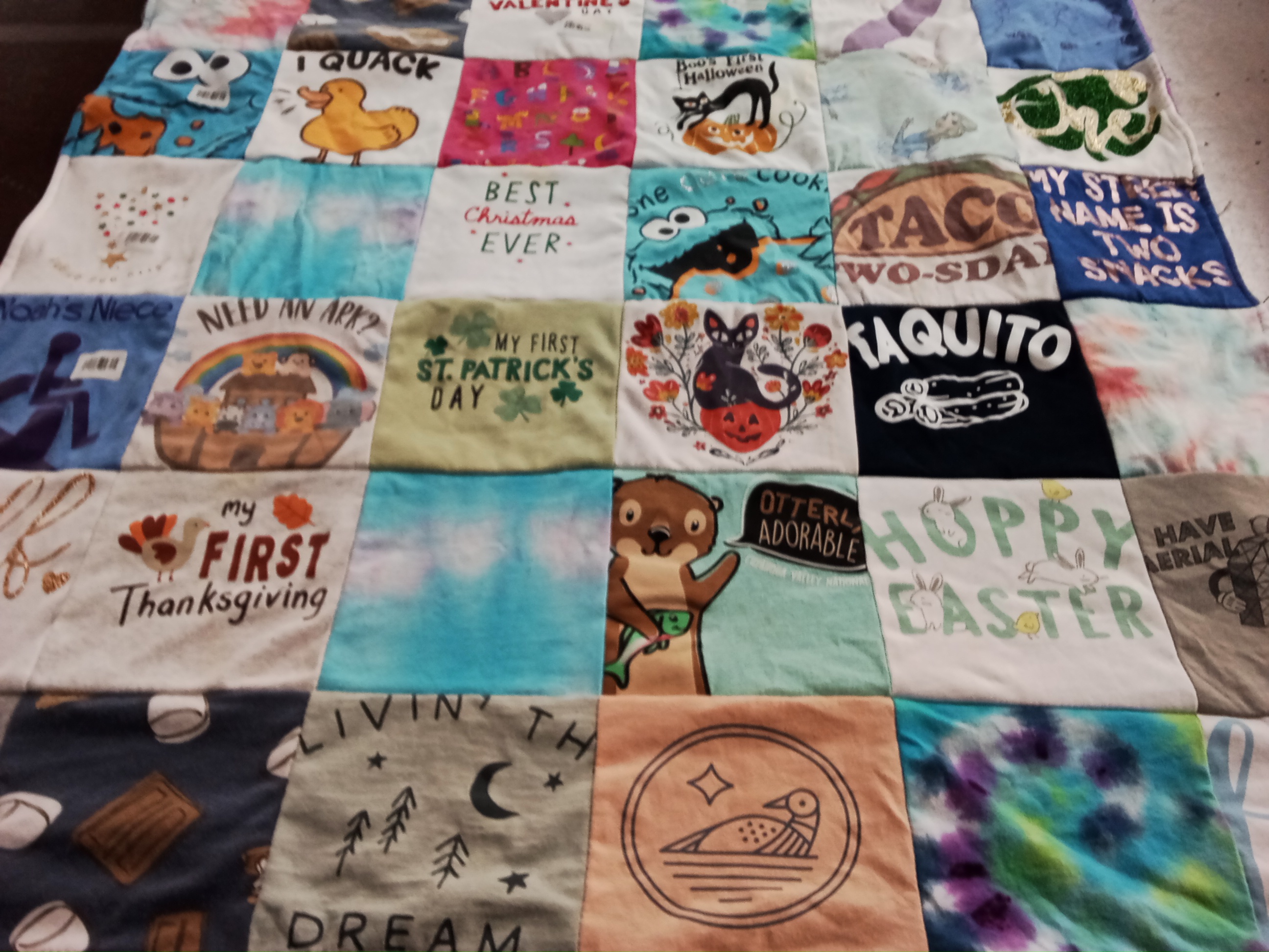T-shirt quilt with holiday celebrations, animals themes by Licia from MN