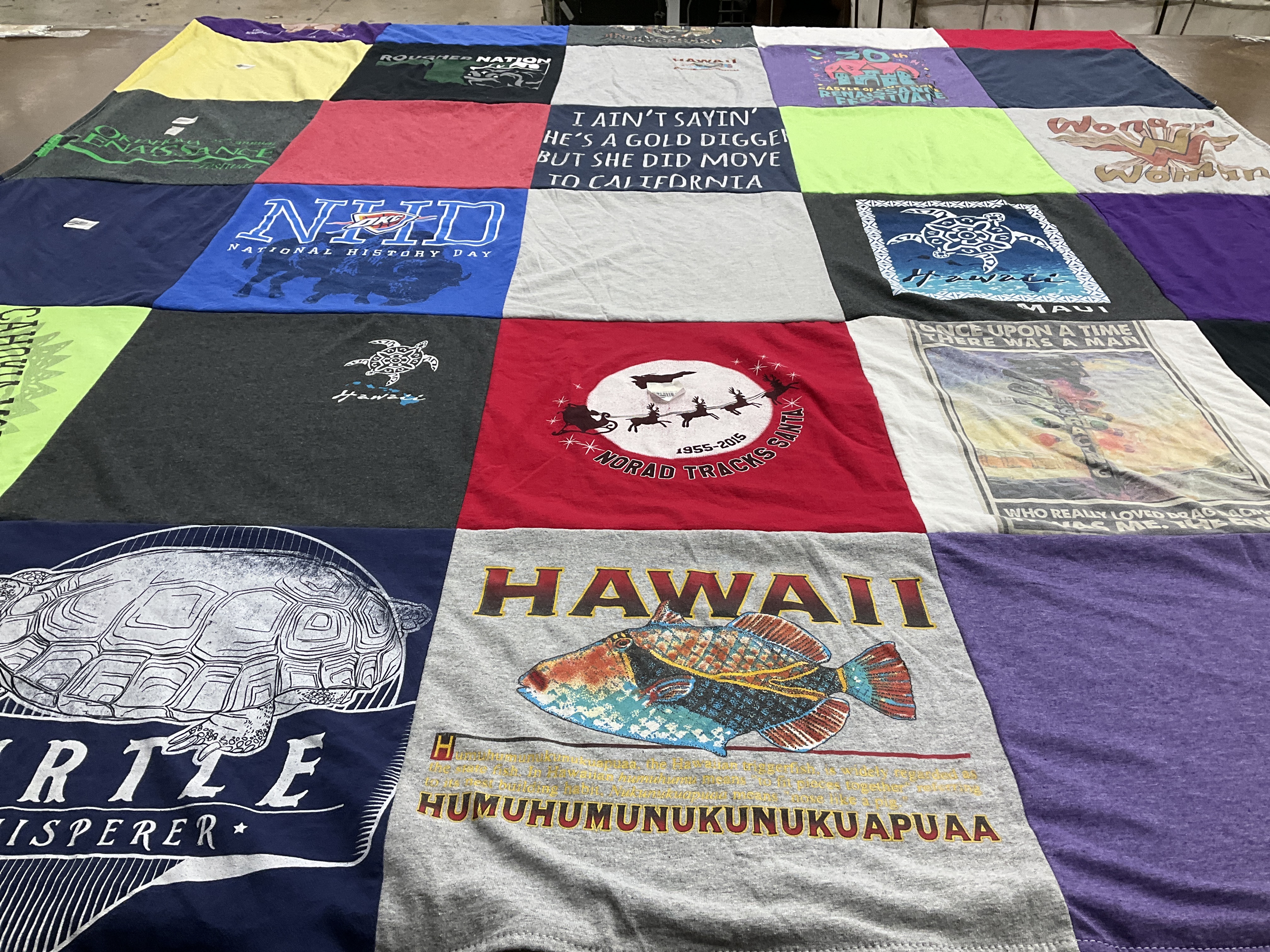 T-shirt quilt with environment, marine life themes by Diane from OK