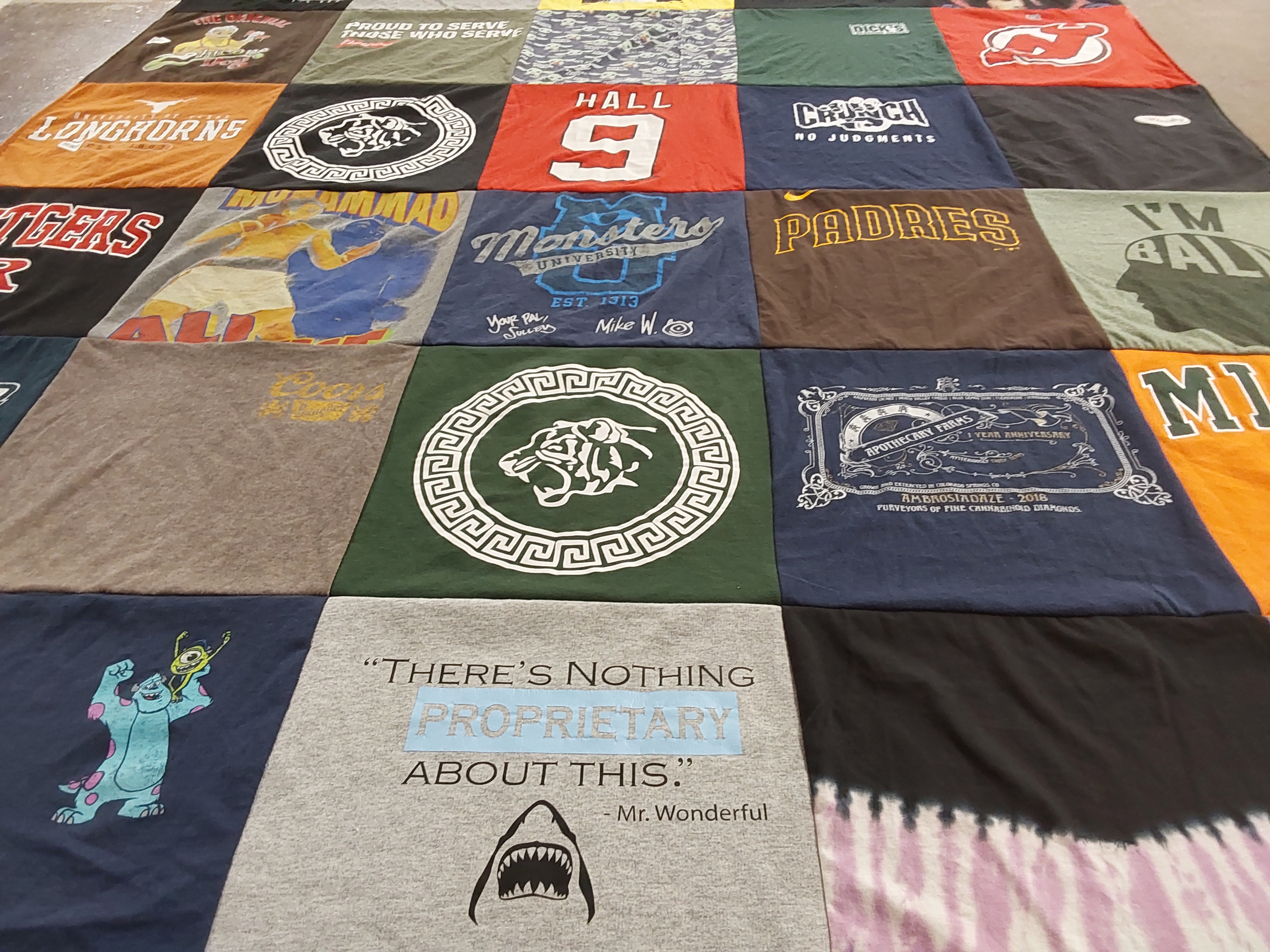 T-shirt quilt featuring longhorns, tigers by Jordan from NJ