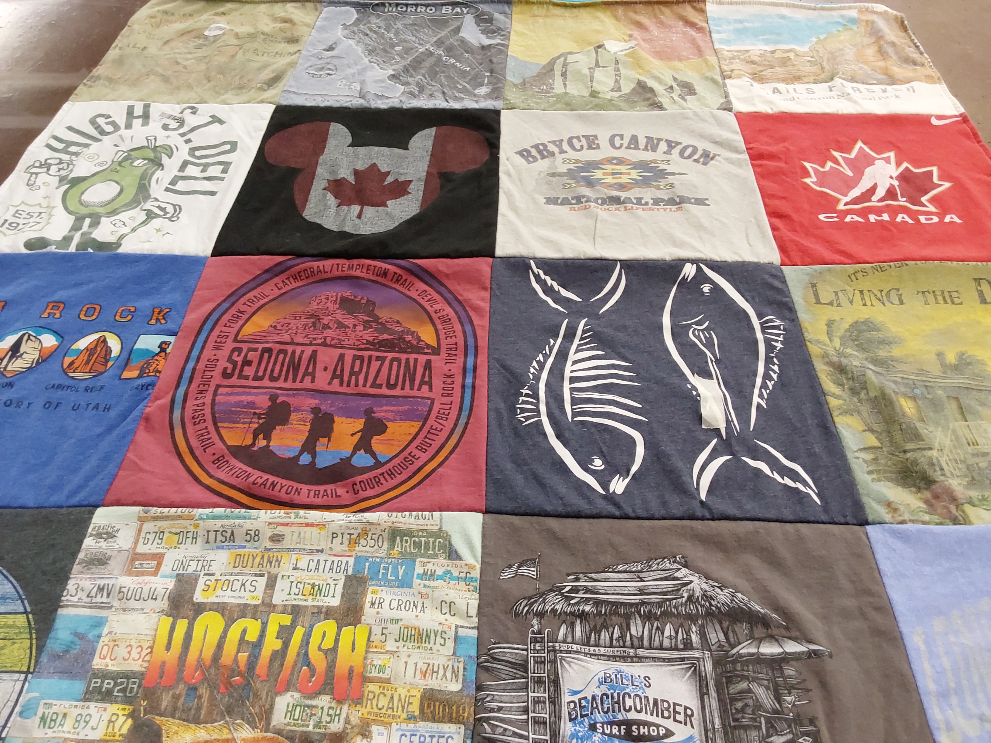 T-shirt quilt with travel, outdoors themes by Catherine from NJ