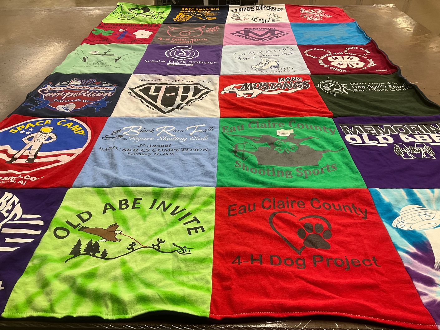 T-shirt quilt featuring mustangs by Francine from WI