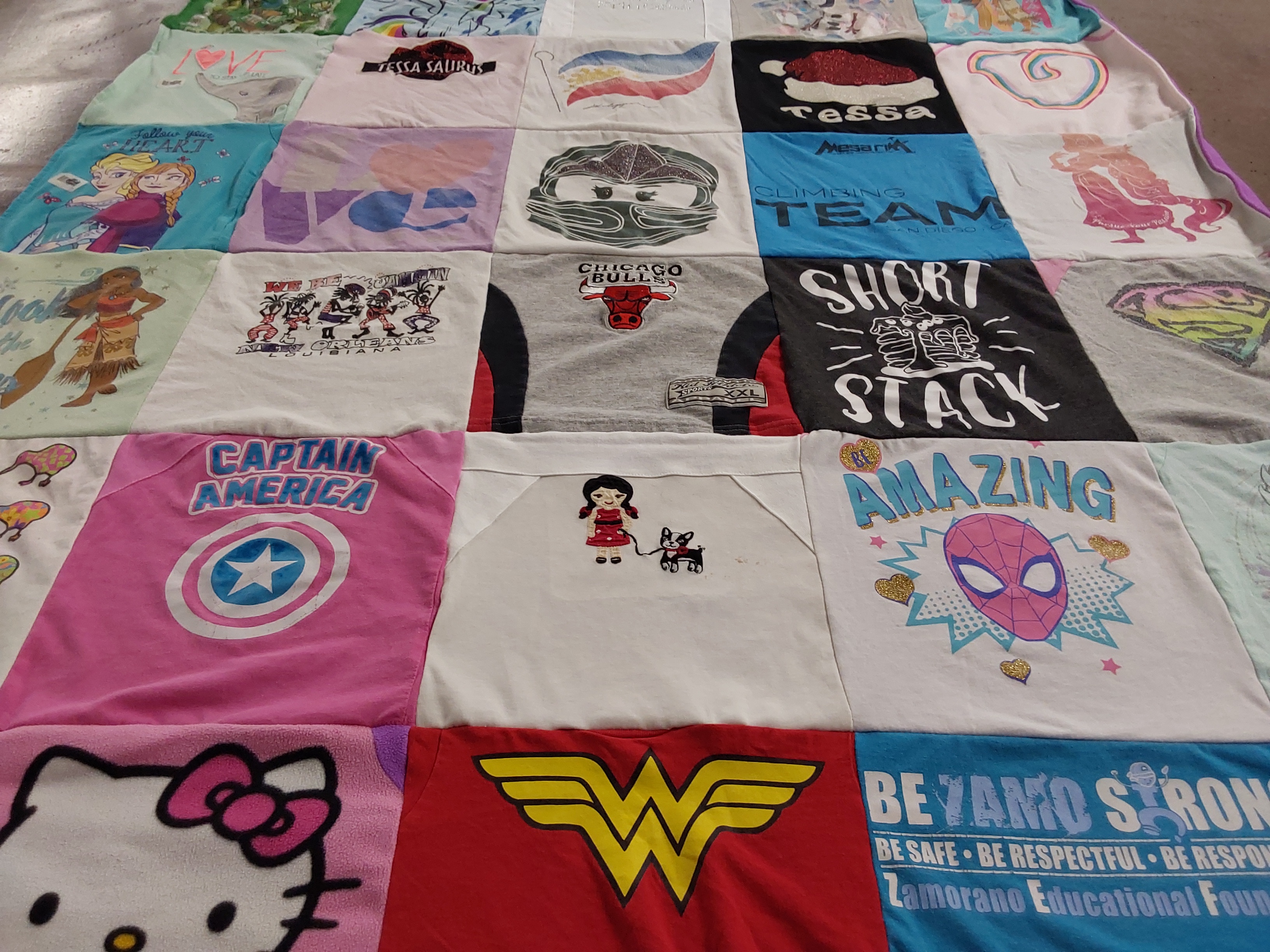 T-shirt quilt featuring chicago bulls by Pia from CA