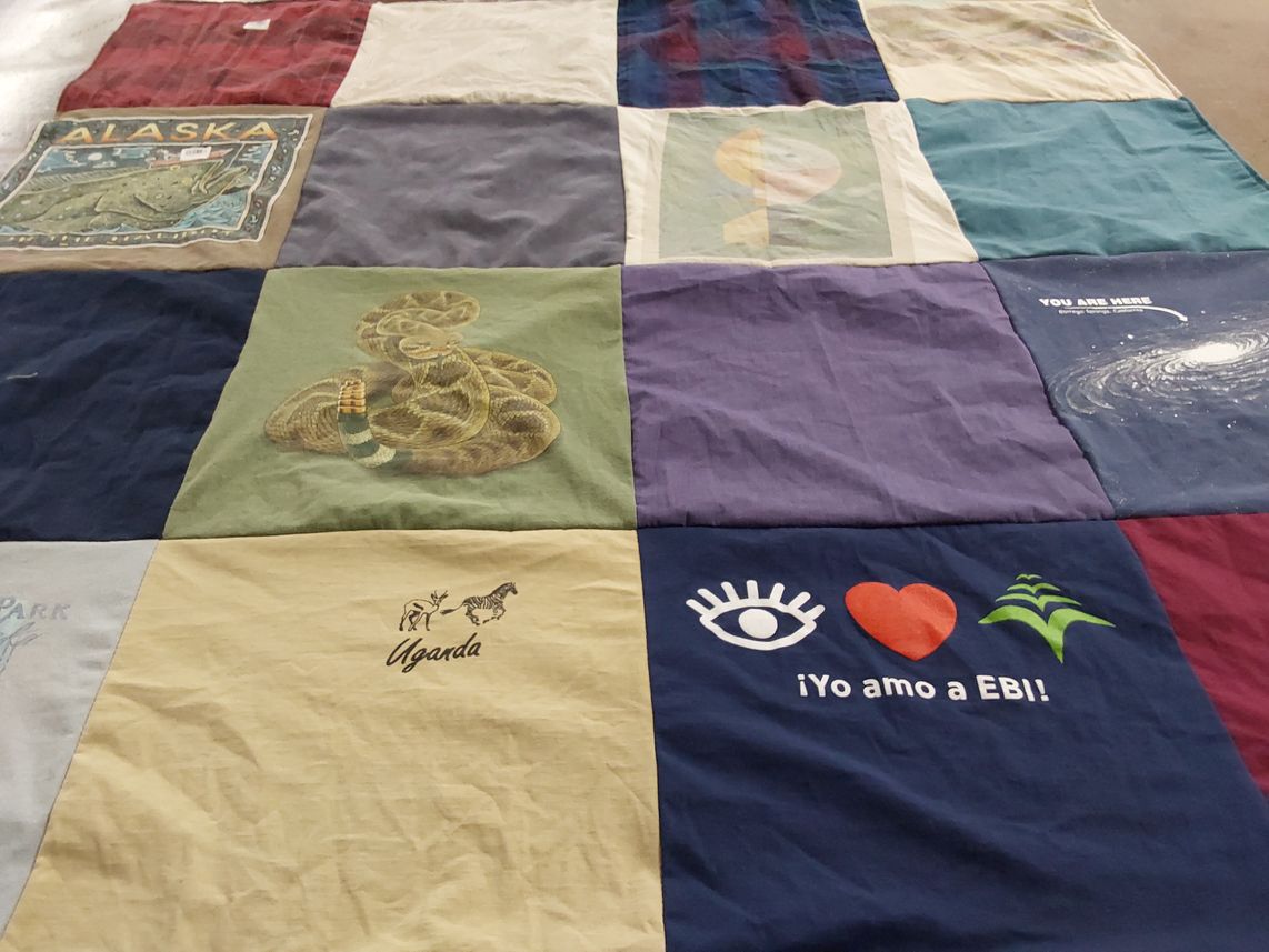 T-shirt quilt with travel, nature themes by Sabrina from CA