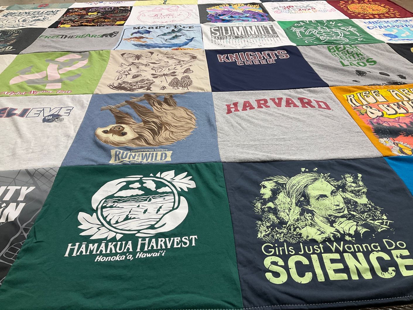 T-shirt quilt featuring knights cheer by Jenna from NY