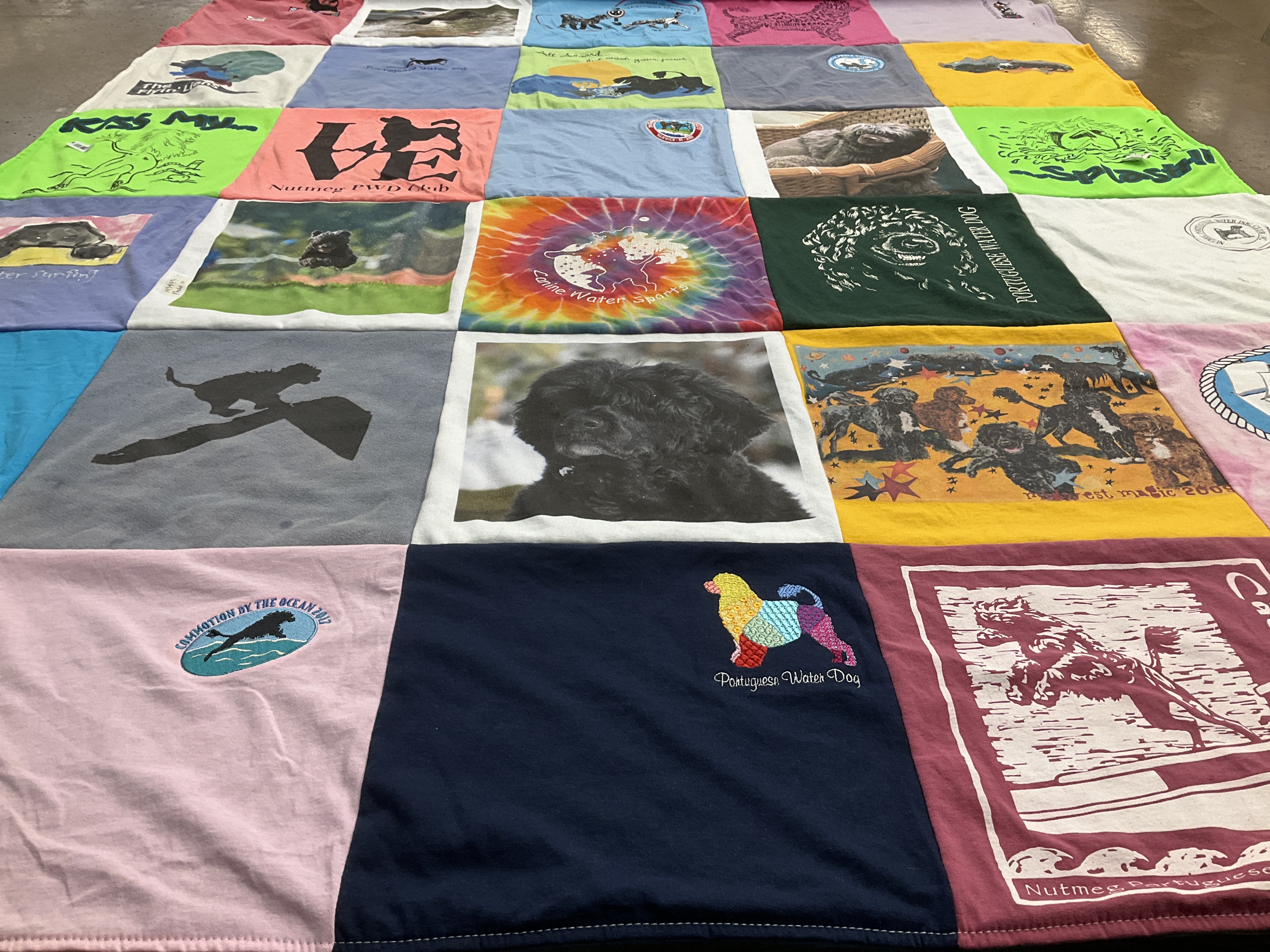T-shirt quilt with dogs, water activities themes by Melinda from CT