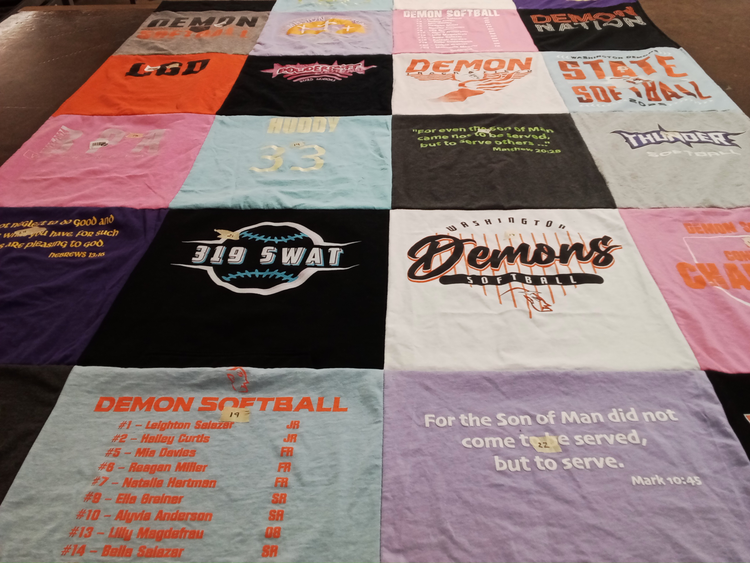 T-shirt quilt featuring washington demons softball by April from IA