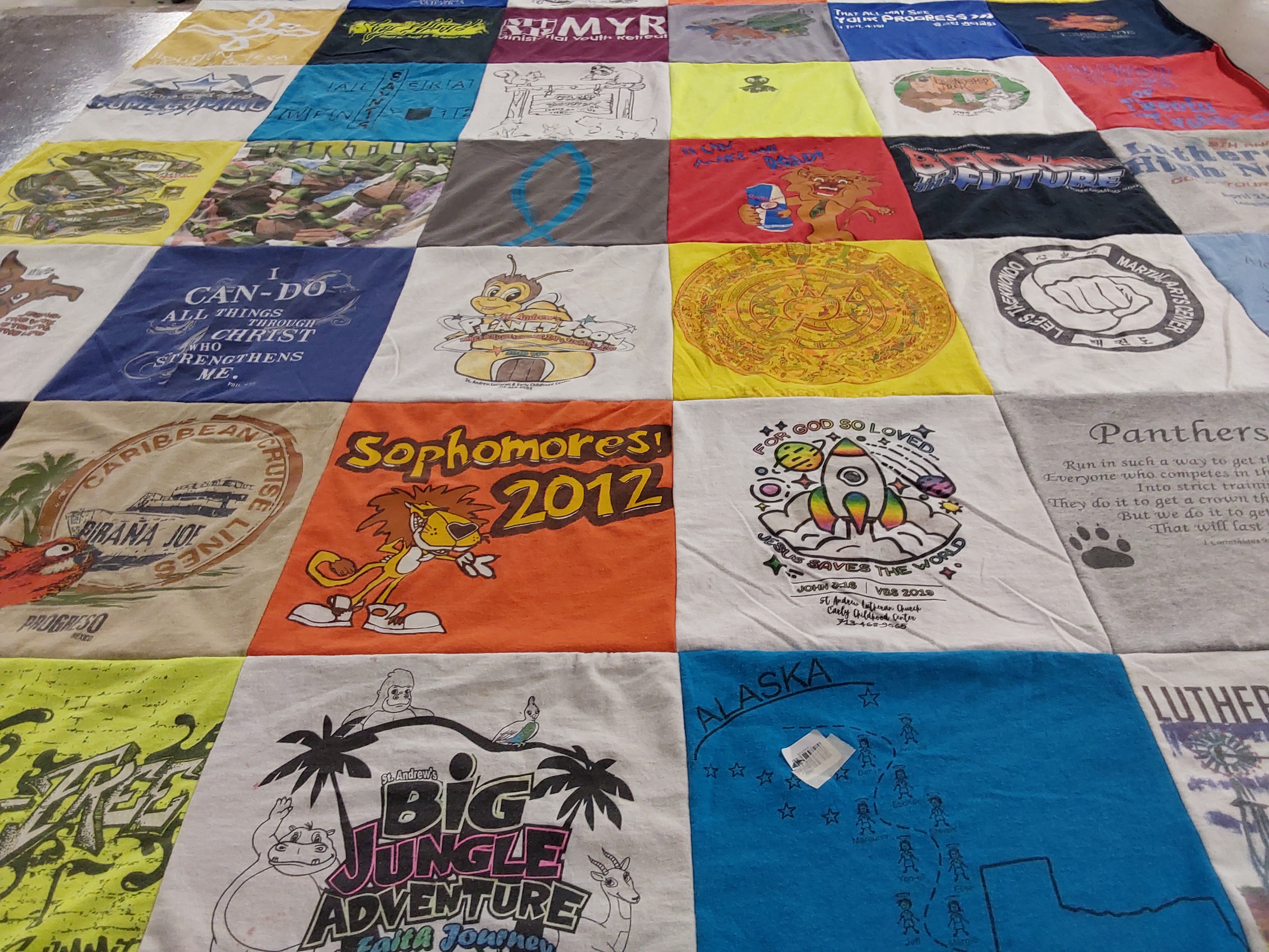 T-shirt quilt featuring panthers by Marquise from TX