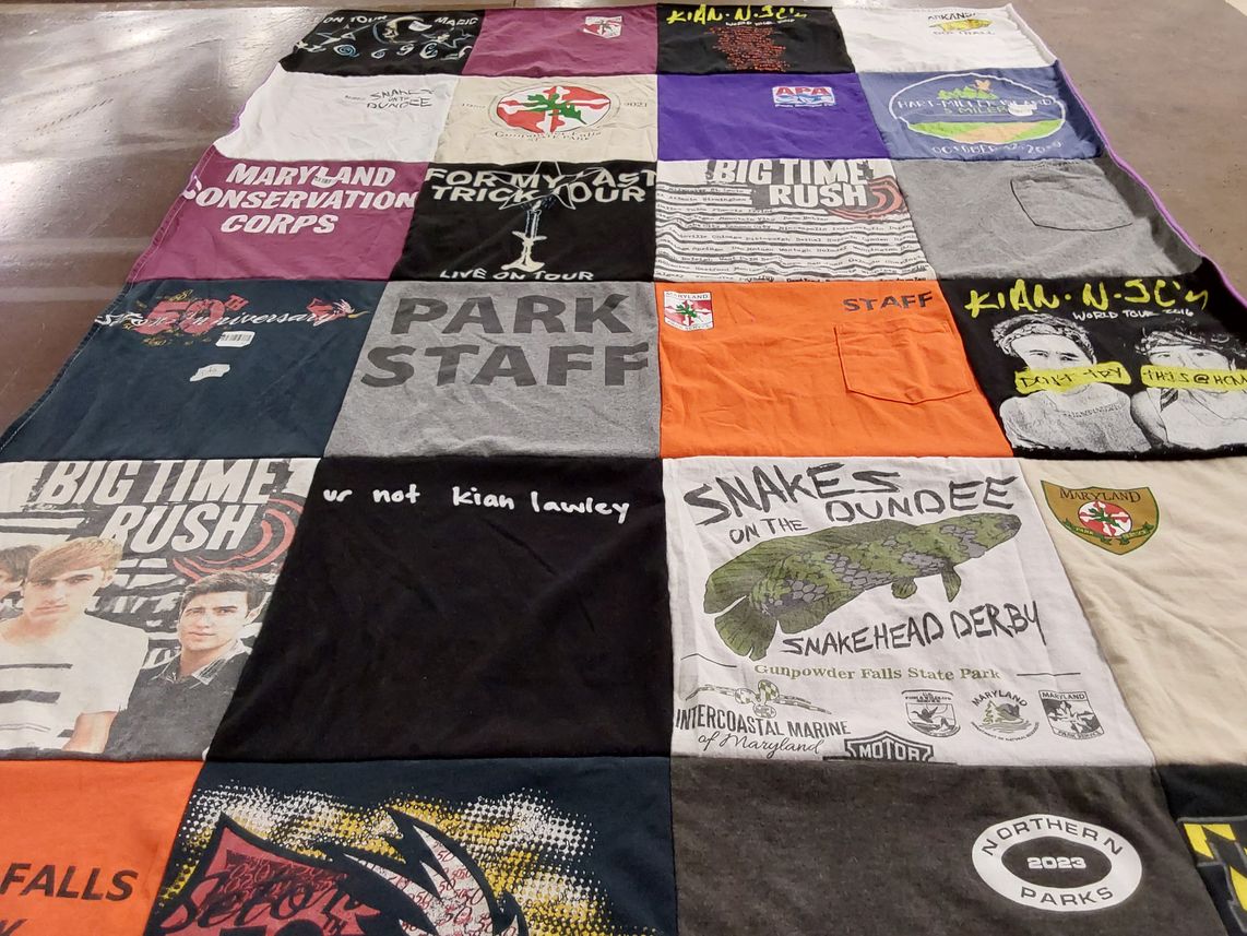 T-shirt quilt with music, environment themes by Mary Ann from MD