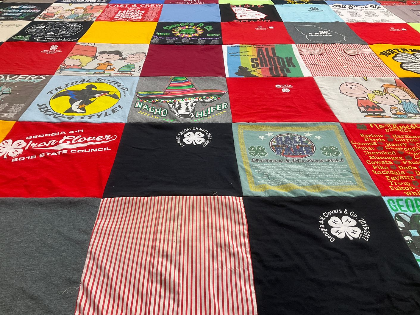 T-shirt quilt with 4-h, education themes by Rebekah from GA
