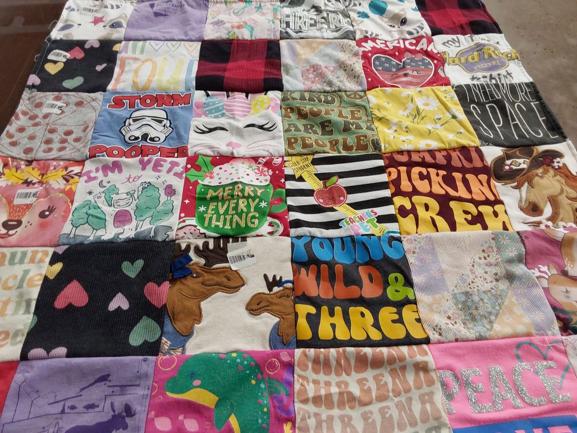T-shirt quilt with humor, nature themes by Carlie from WI