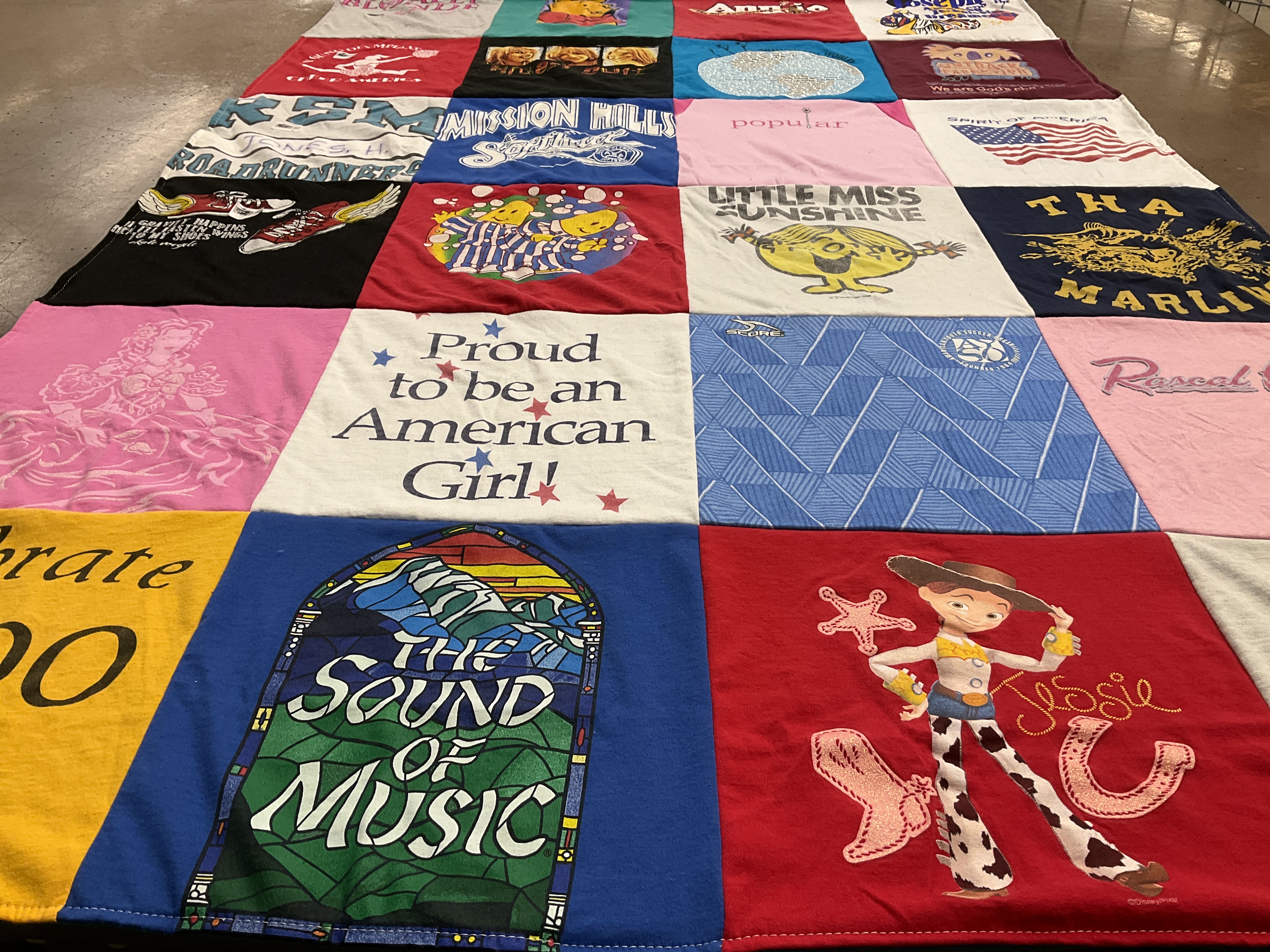 T-shirt quilt featuring roadrunners by Tonya from CA