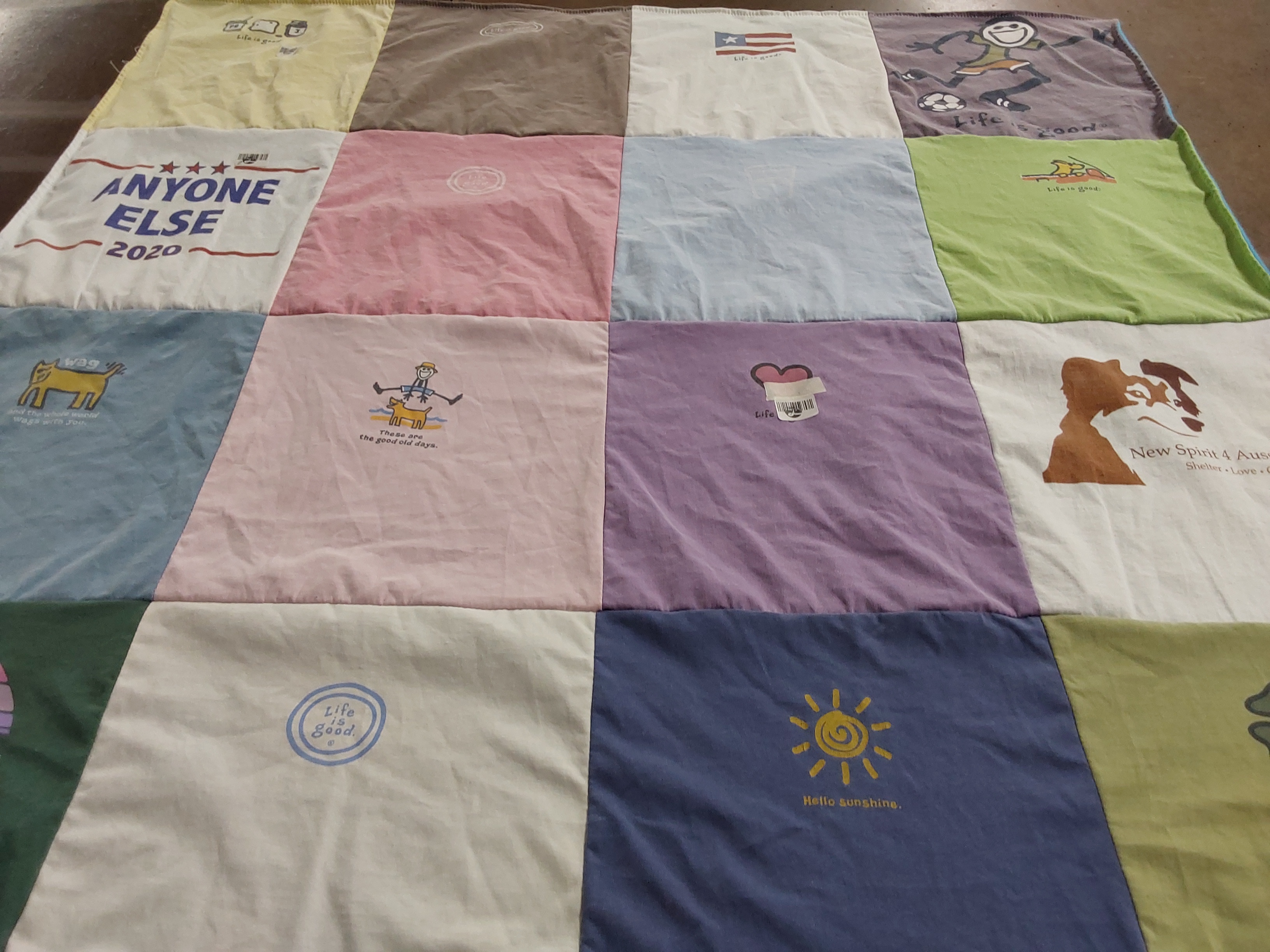 T-shirt quilt with animal welfare, outdoor activities themes by Madelyn from PA