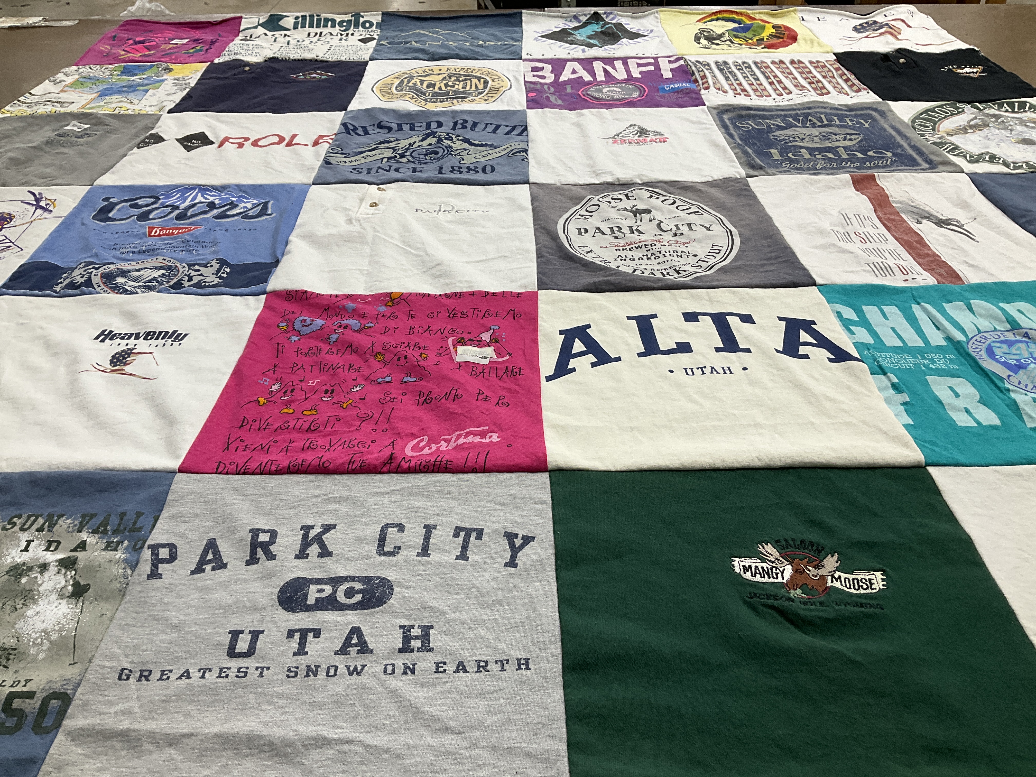 T-shirt quilt with skiing, snowboarding themes by Suzy from MD
