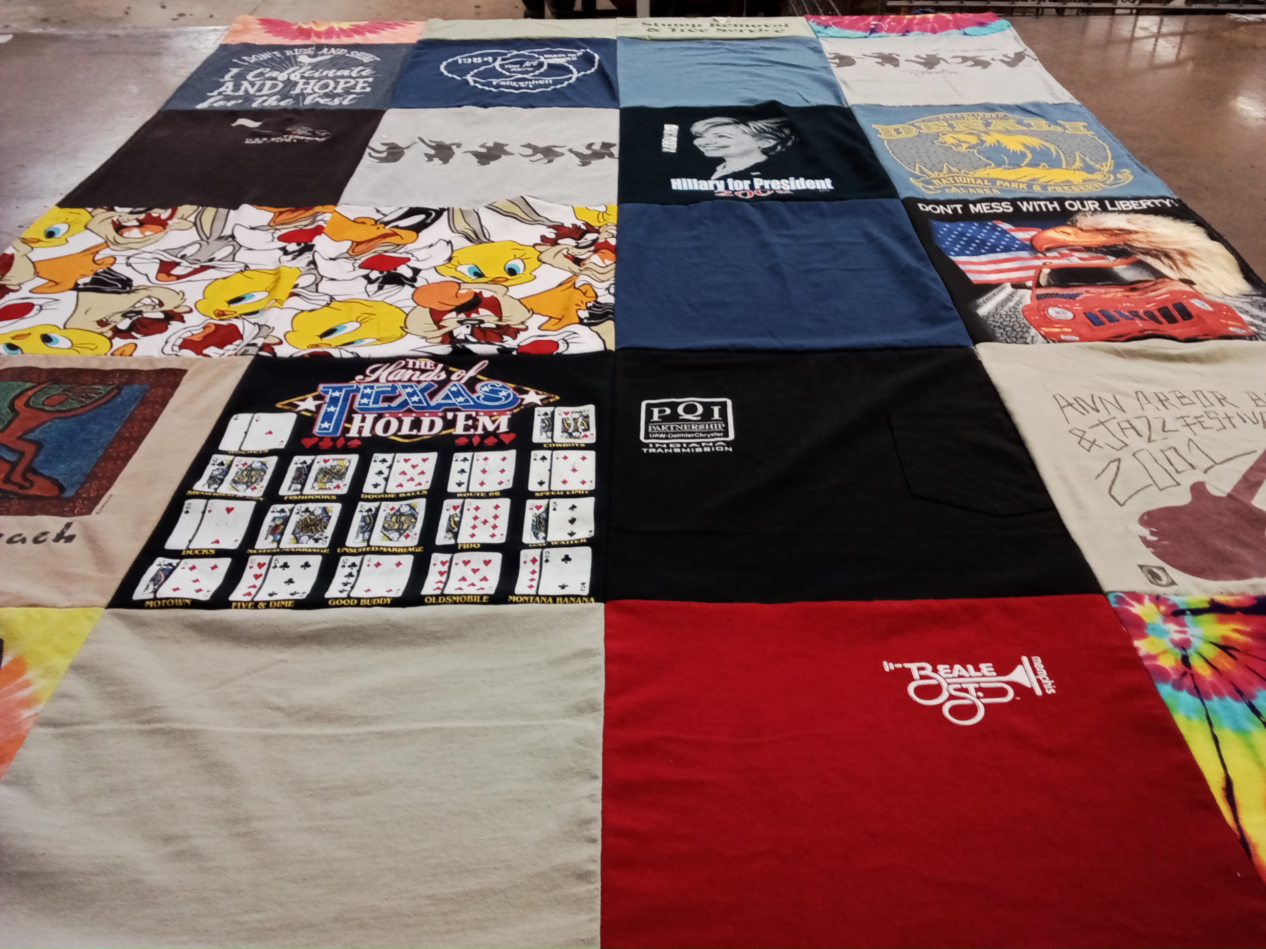 T-shirt quilt with politics, conservation themes by Mary from NY