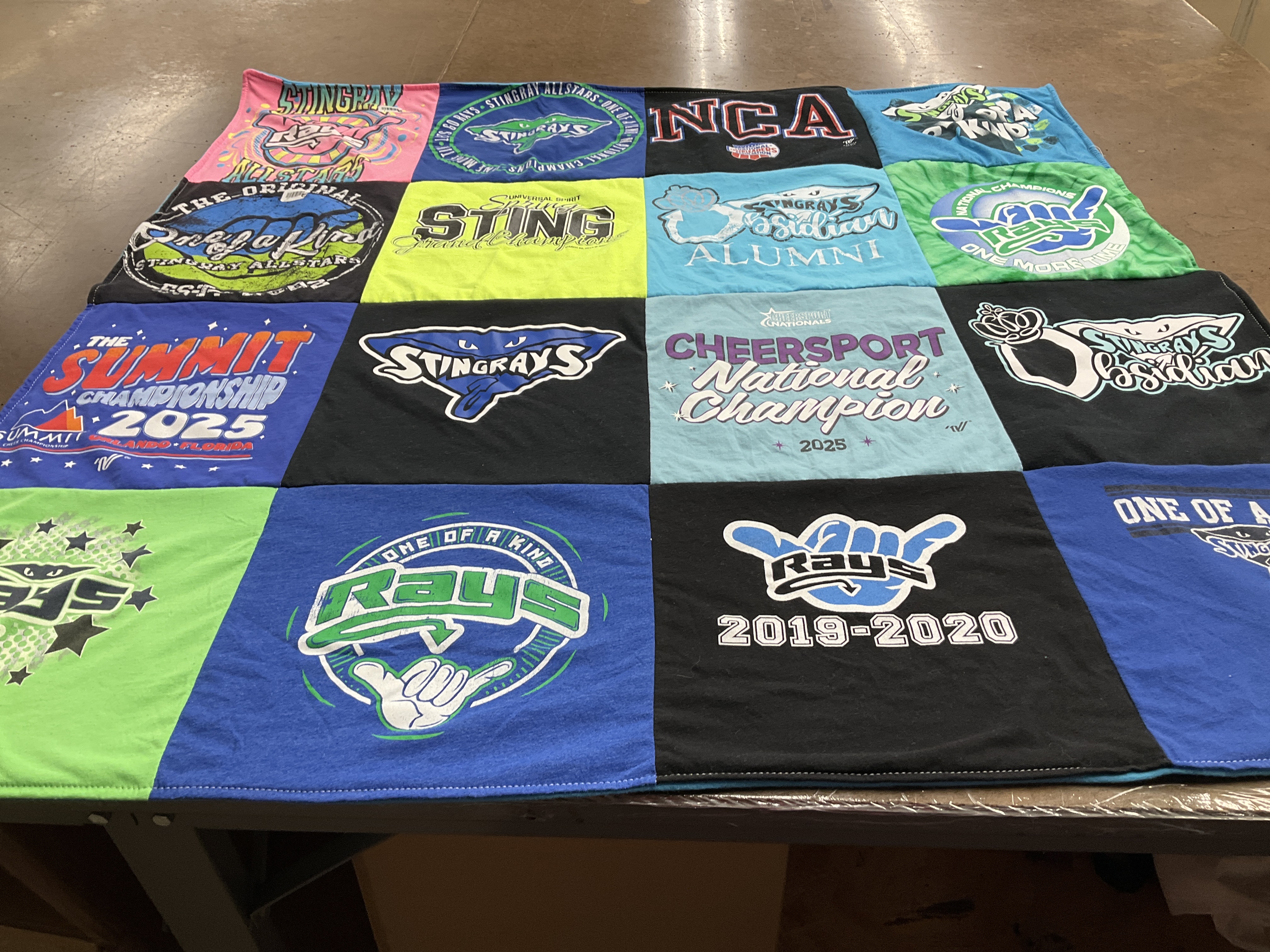 T-shirt quilt featuring stingrays, rays by Karen from GA
