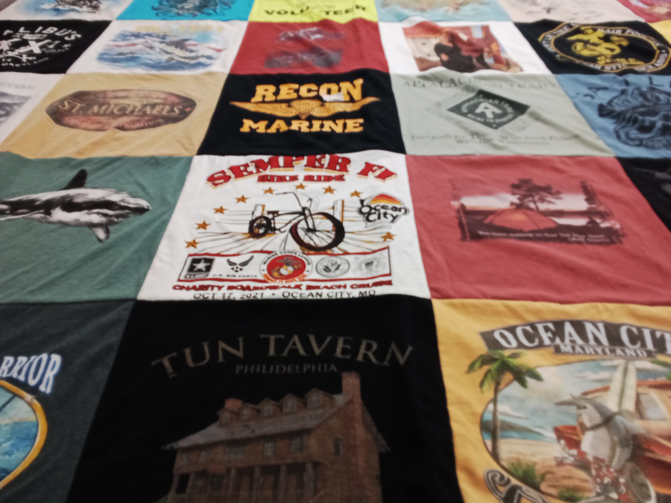 T-shirt quilt with biking, marine life themes by Karen from MD