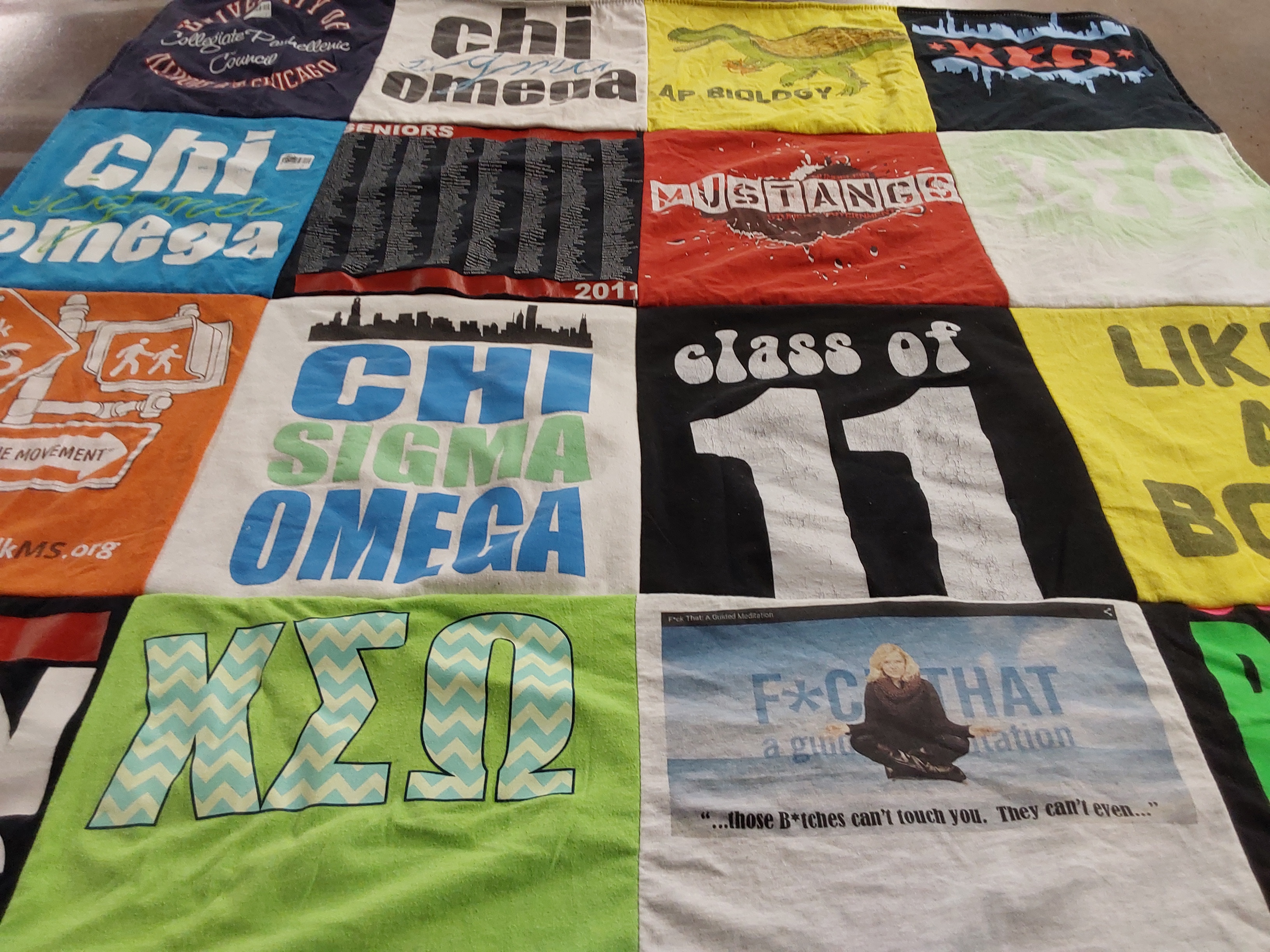 T-shirt quilt with sorority, biology themes by Jane from IL