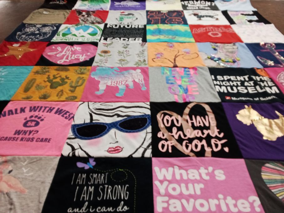 T-shirt quilt with science, travel themes by Doreen from NH