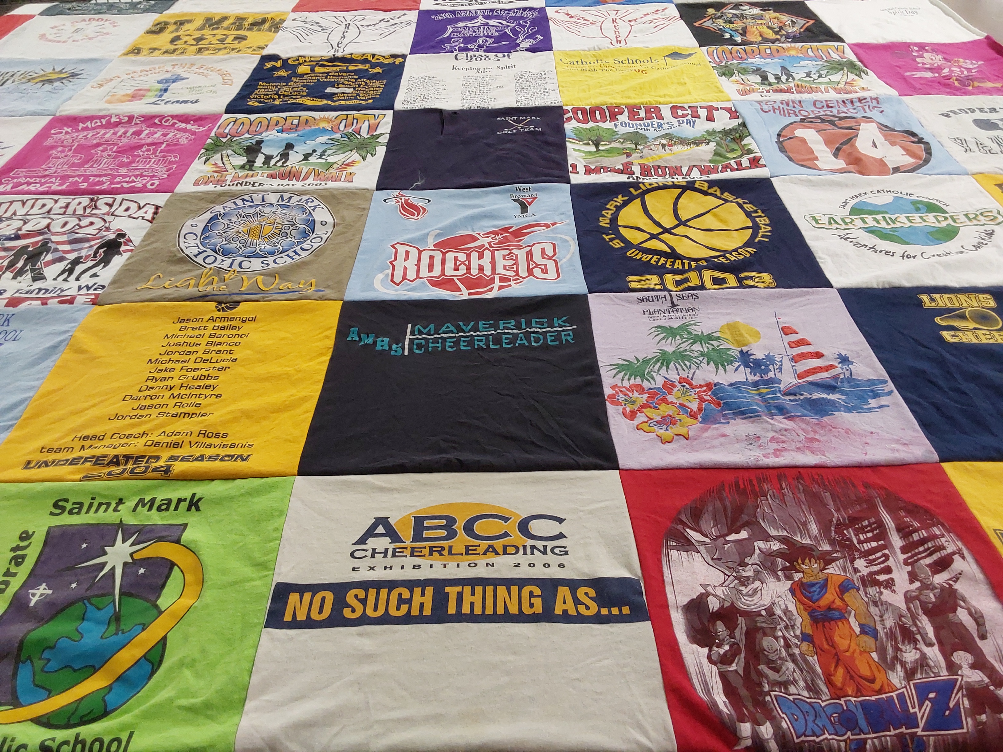 T-shirt quilt featuring rockets, lions by Donna from FL