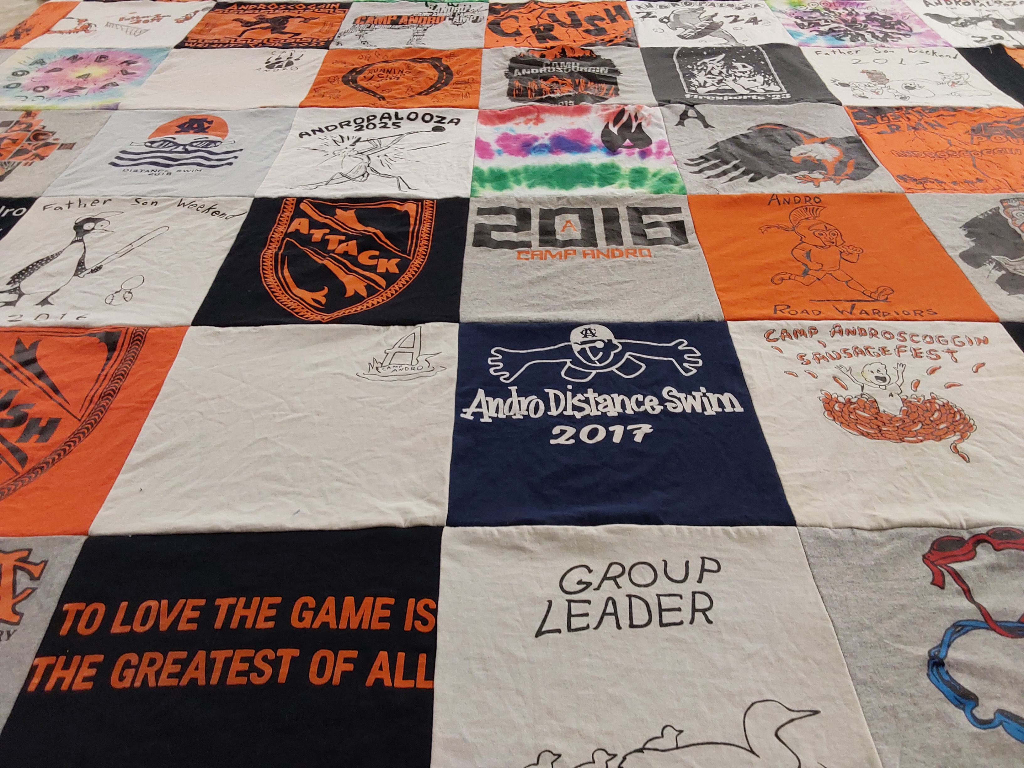 T-shirt quilt with camping, swimming themes by Mitchell from NY