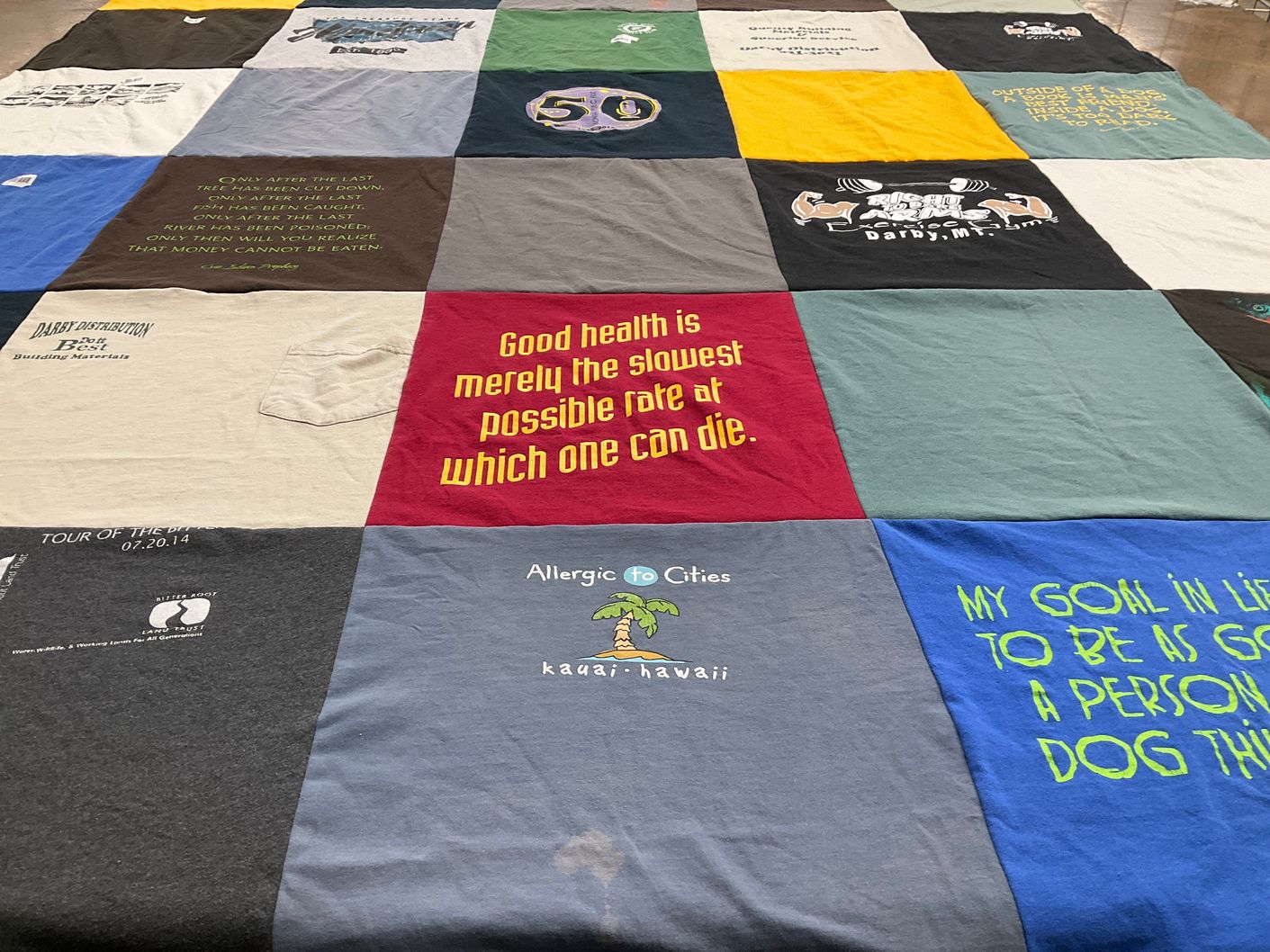 T-shirt quilt with health, fitness themes by Jennifer from NY
