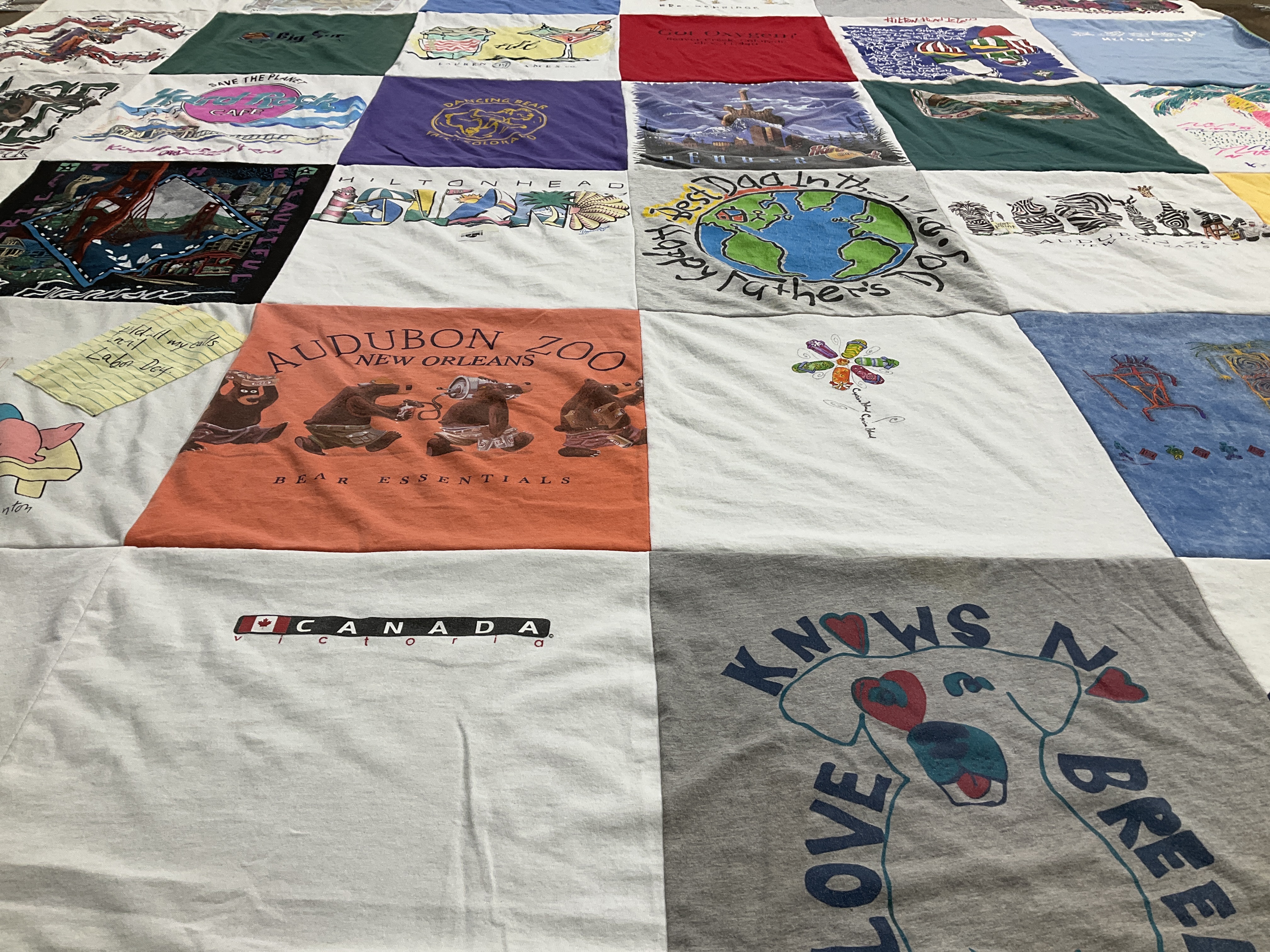 T-shirt quilt with animals, nature themes by Teresa from NC