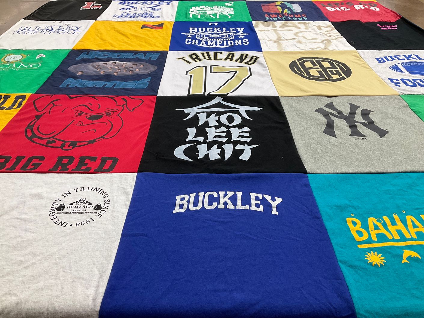 T-shirt quilt featuring big red, huskies by Debbie from NY