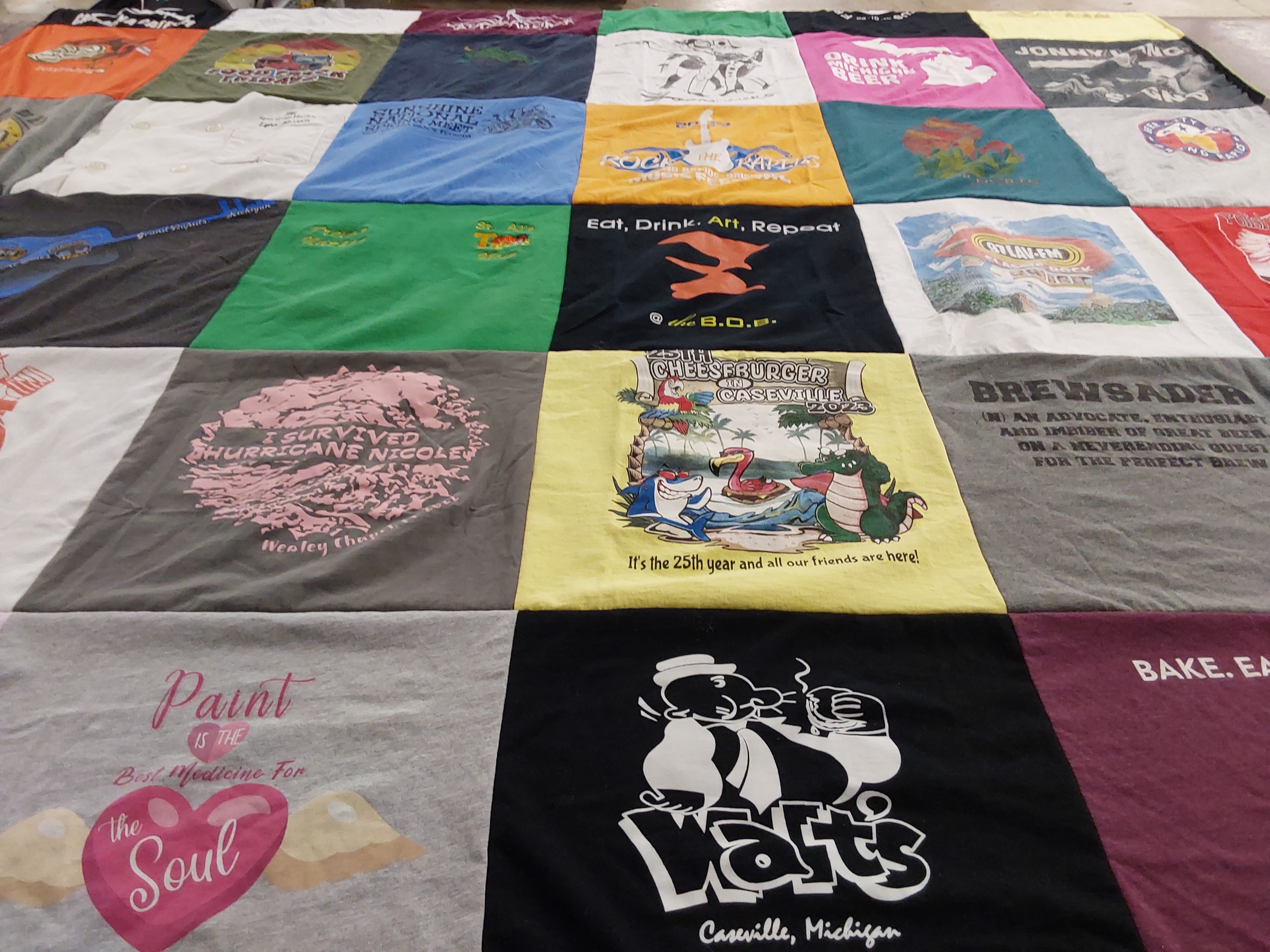 T-shirt quilt with hurricanes, food themes by Lynn from MI