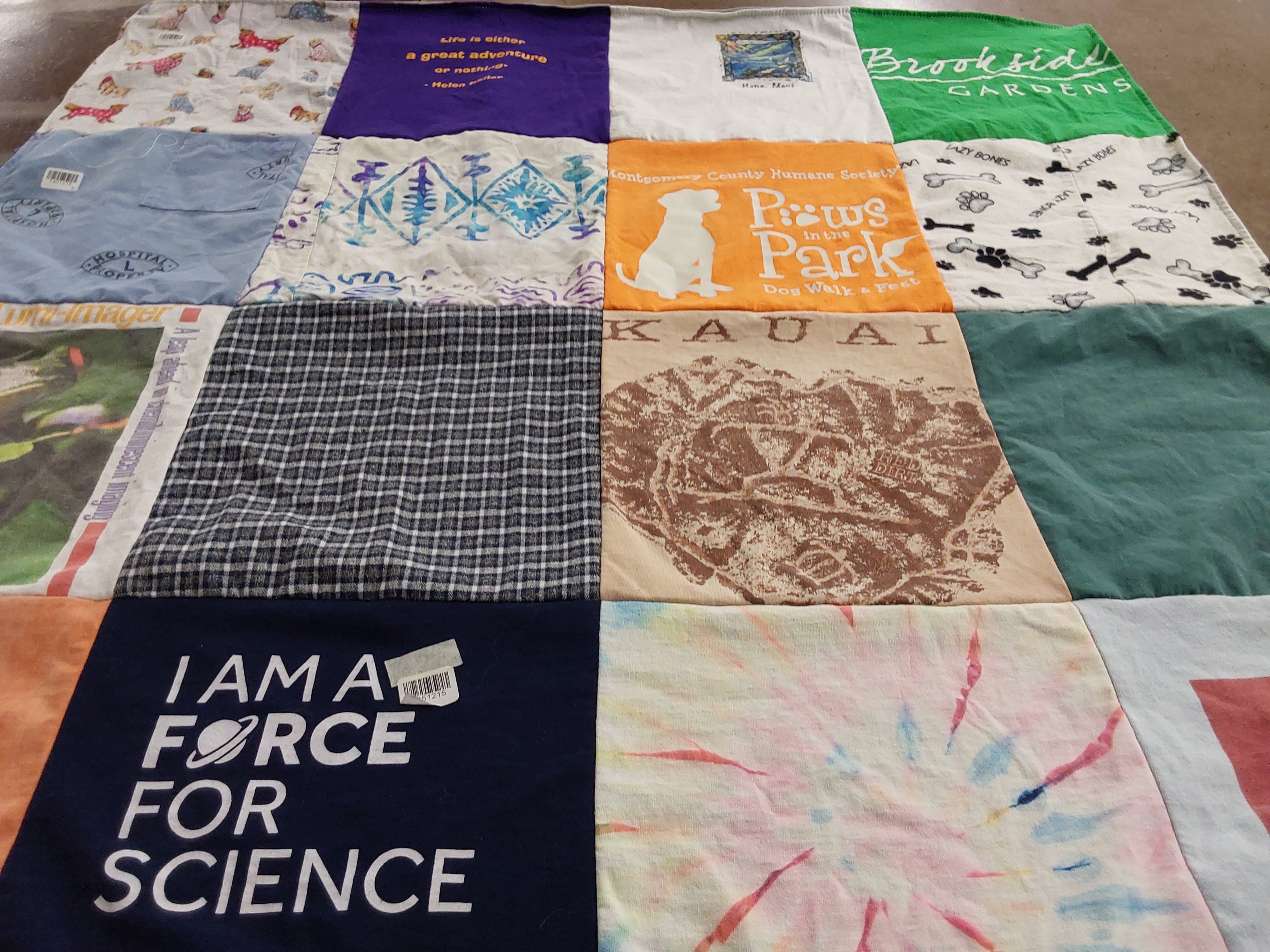 T-shirt quilt with animals, science themes by Mary Ann from MD