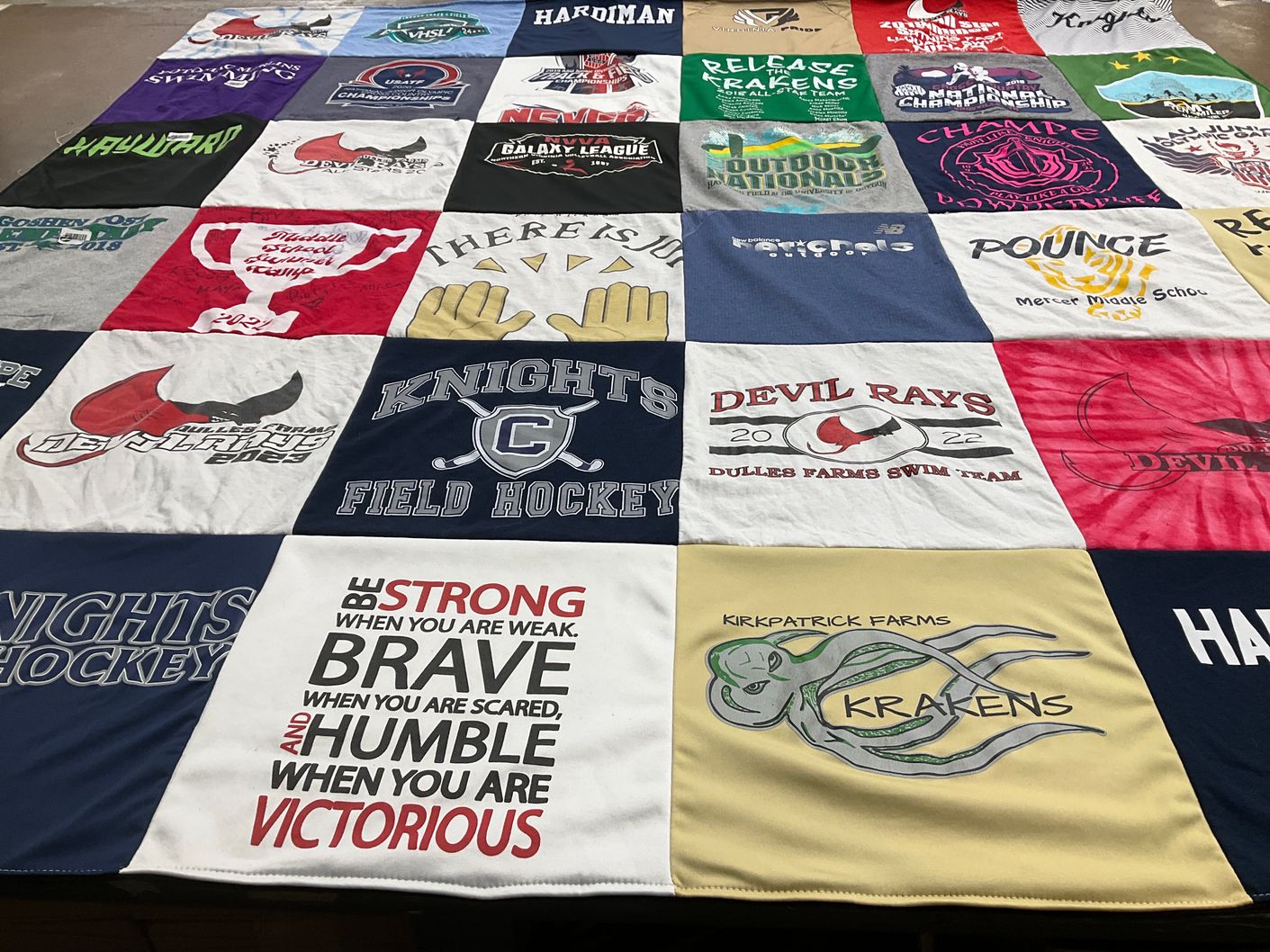 T-shirt quilt featuring devil rays swimming, knights field hockey by Kim from VA