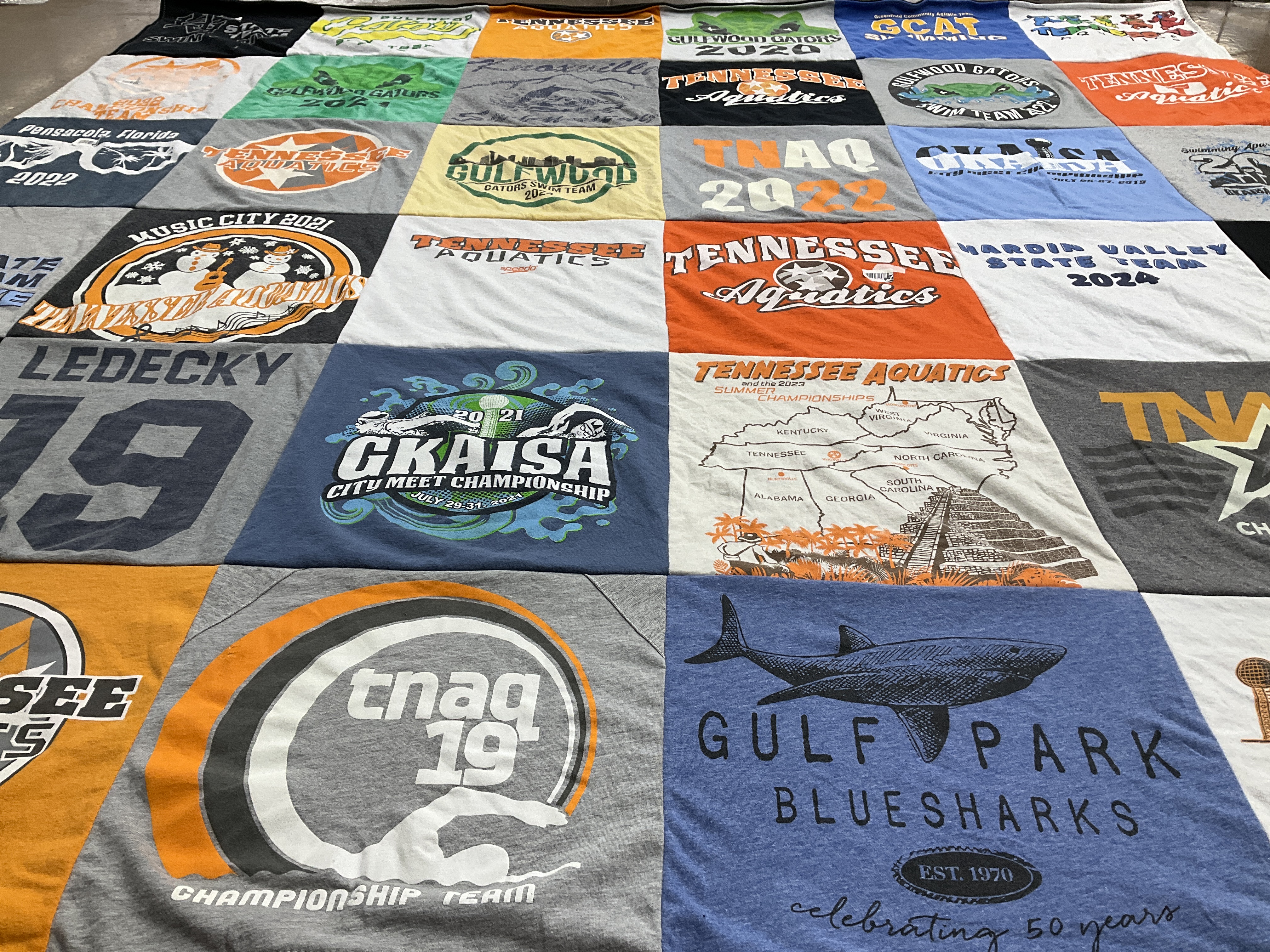 T-shirt quilt with swimming, championships themes by Kelly from TN