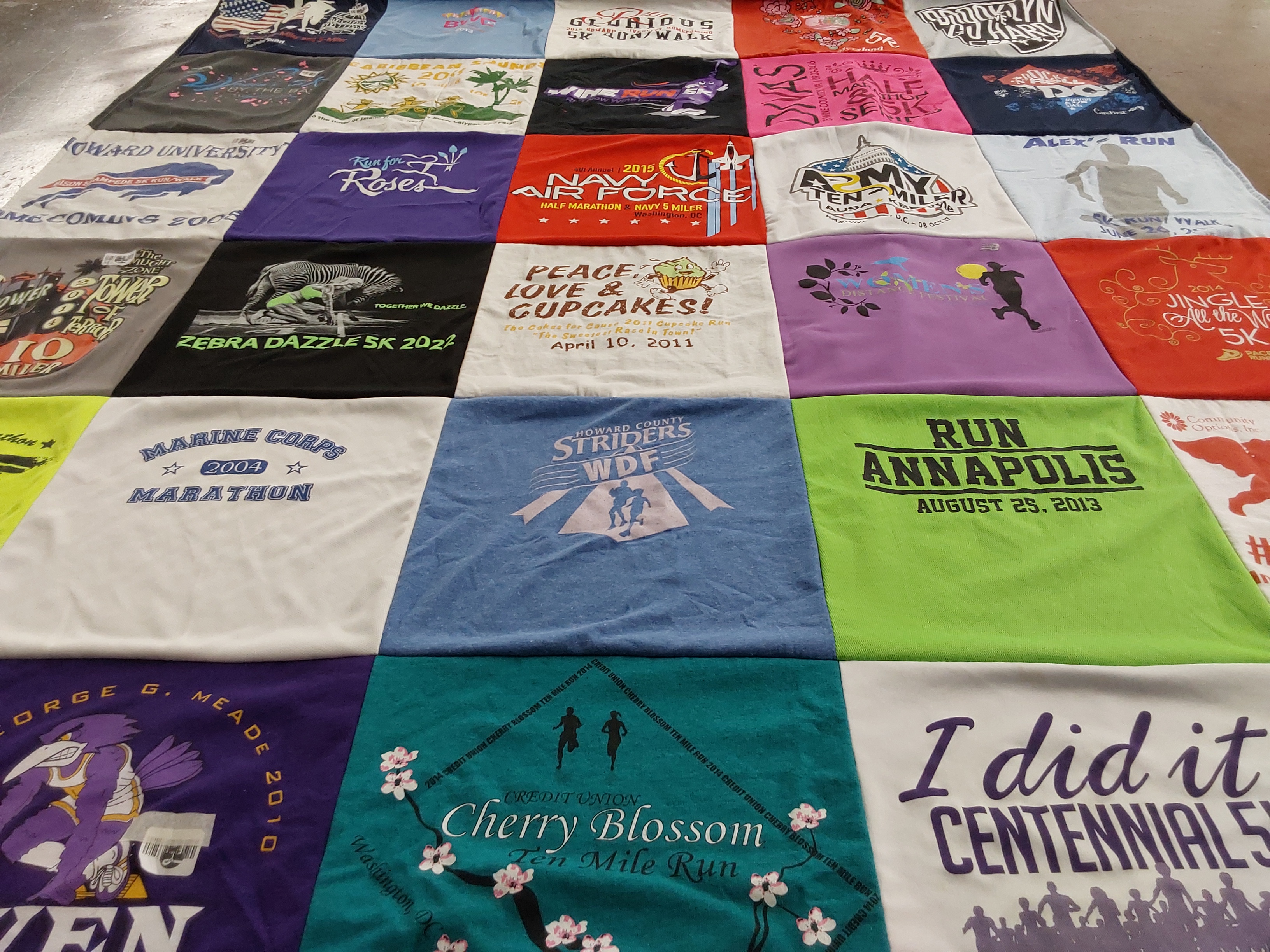 T-shirt quilt featuring howard striders by Laurie from MD