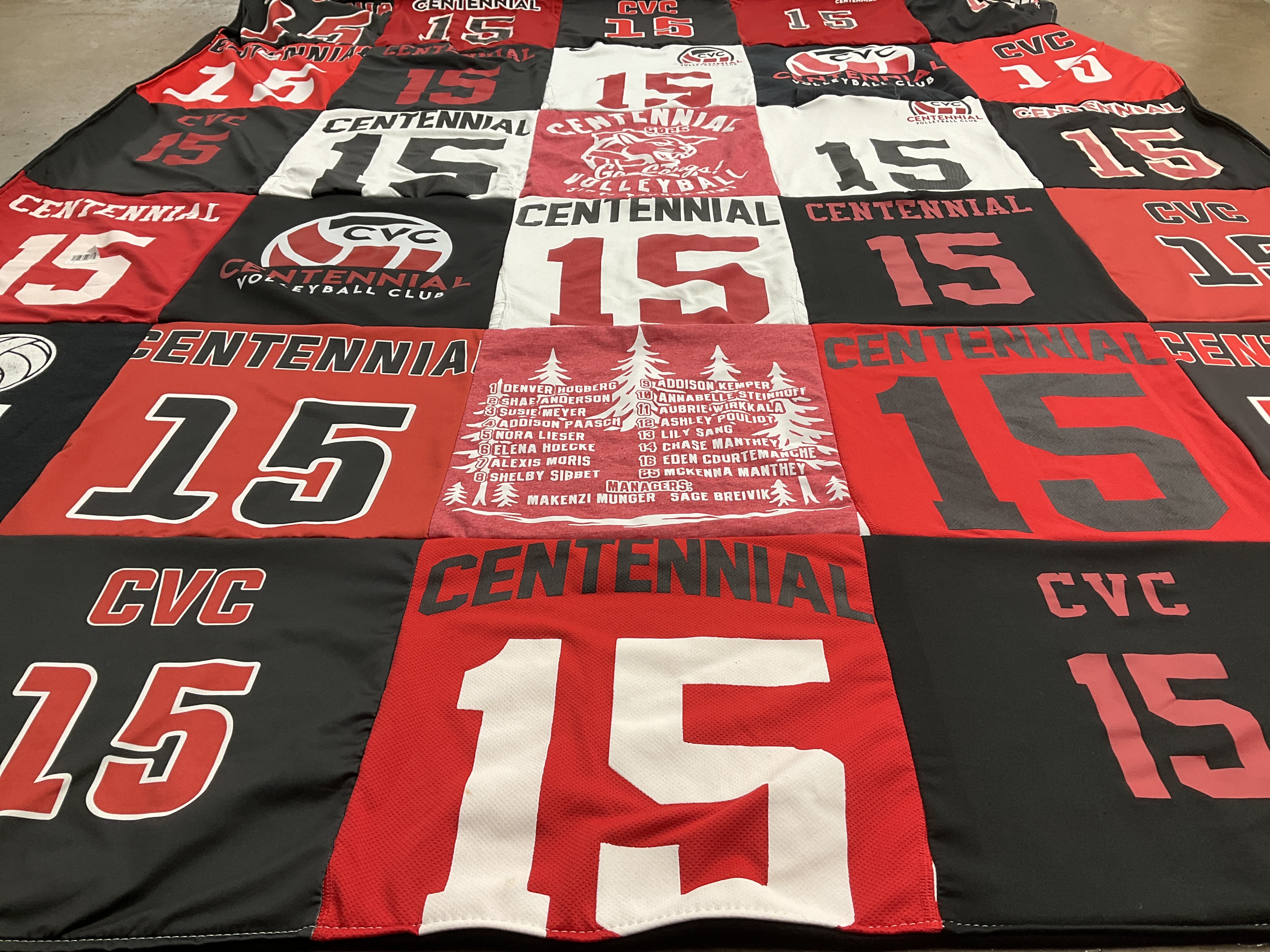 T-shirt quilt with volleyball themes by Erika from MN